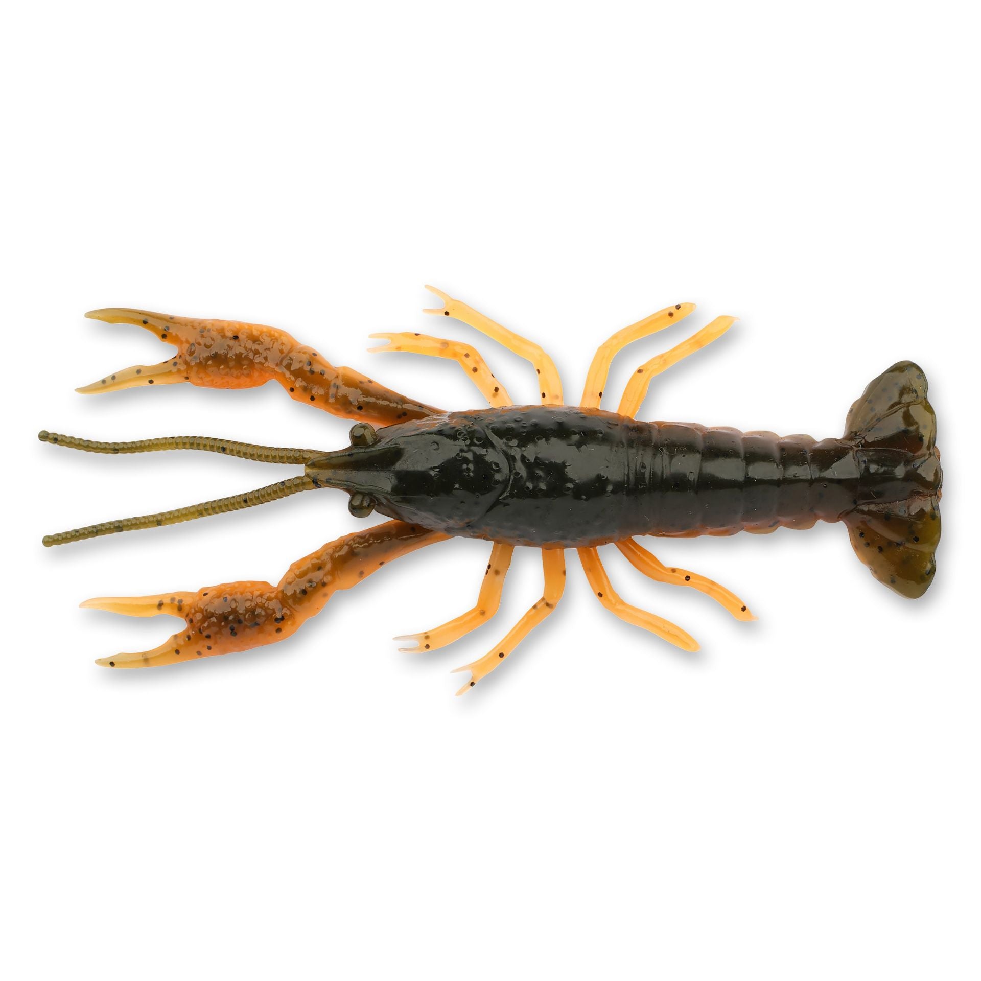 4D Craw