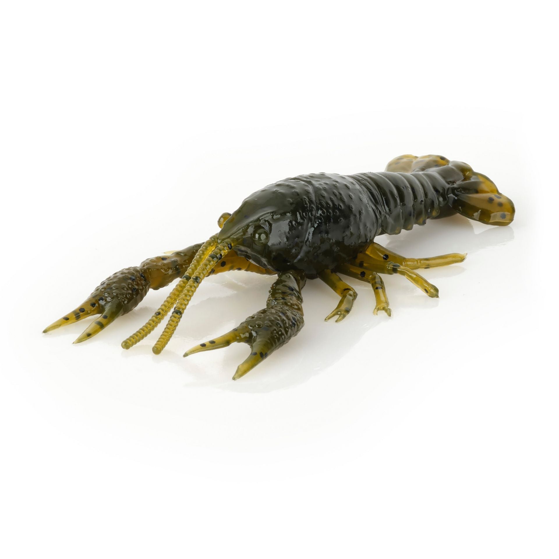 4D Craw
