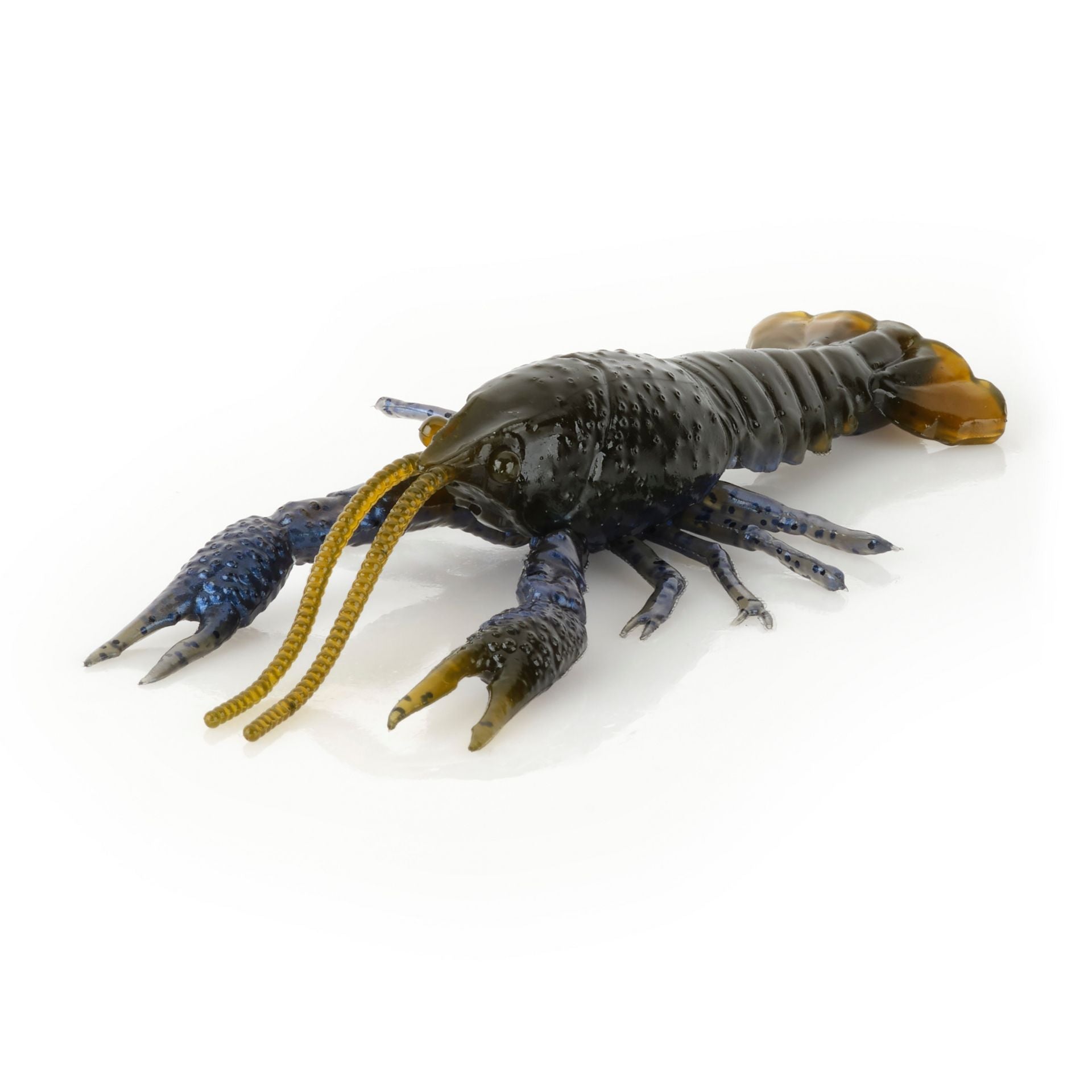 4D Craw