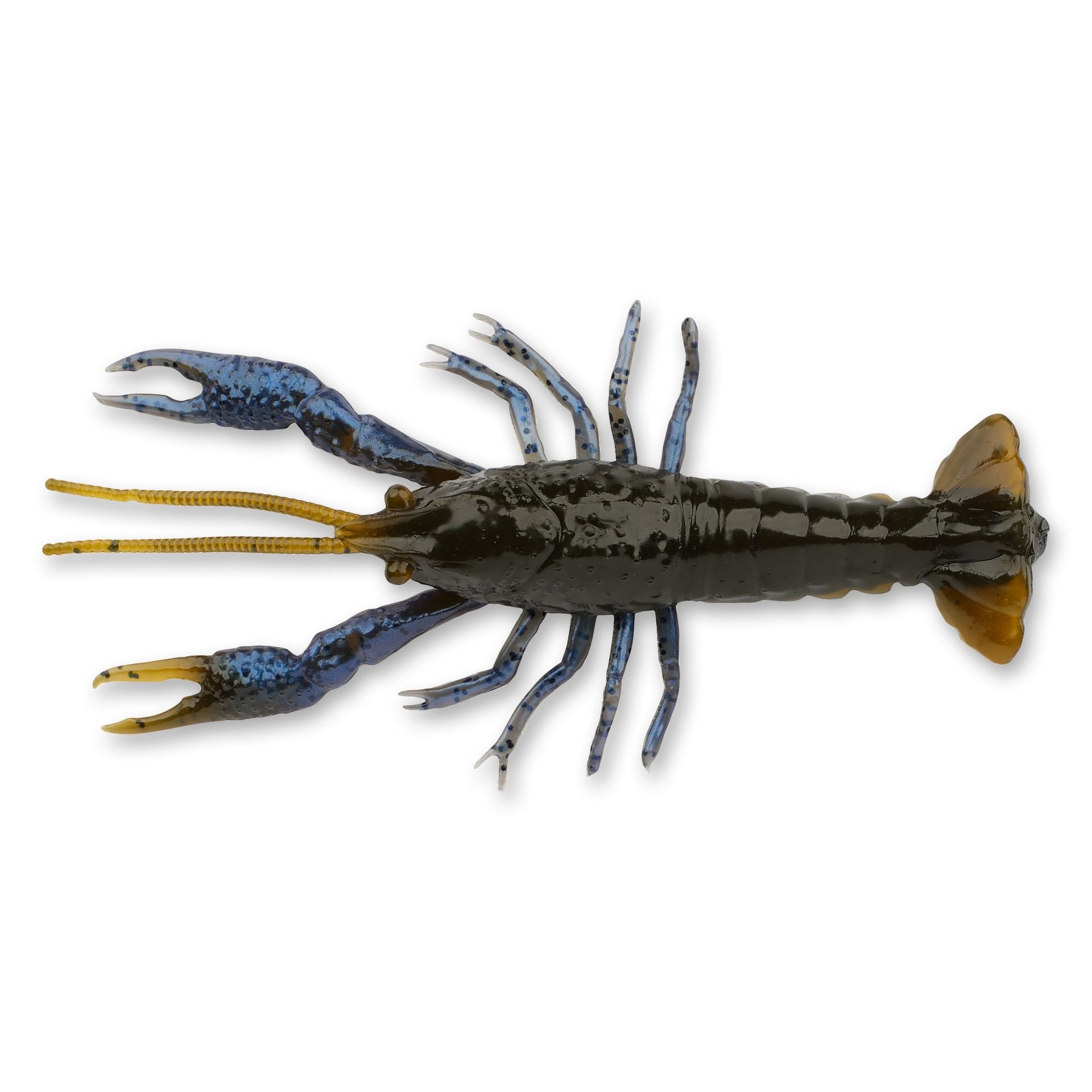 4D Craw