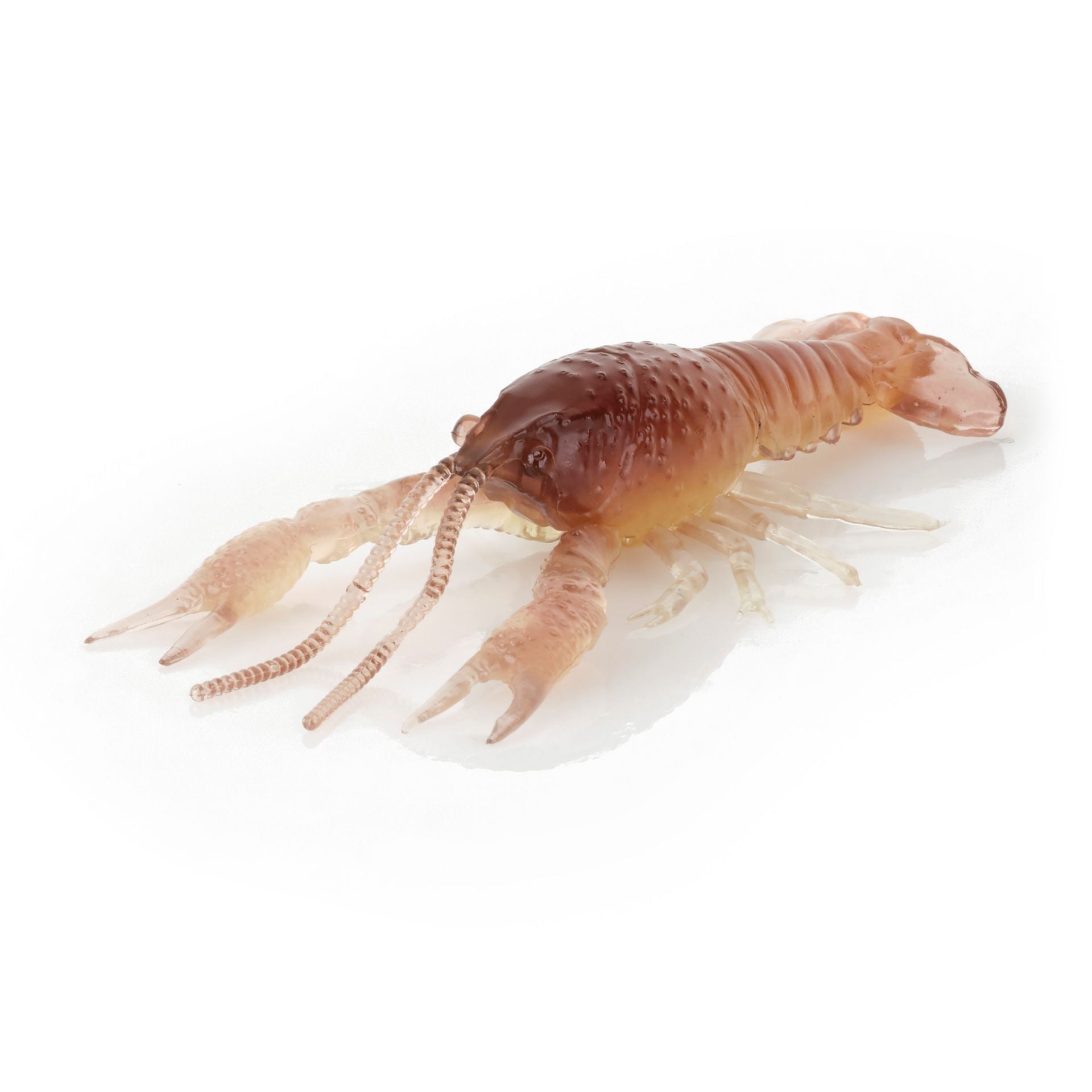4D Craw