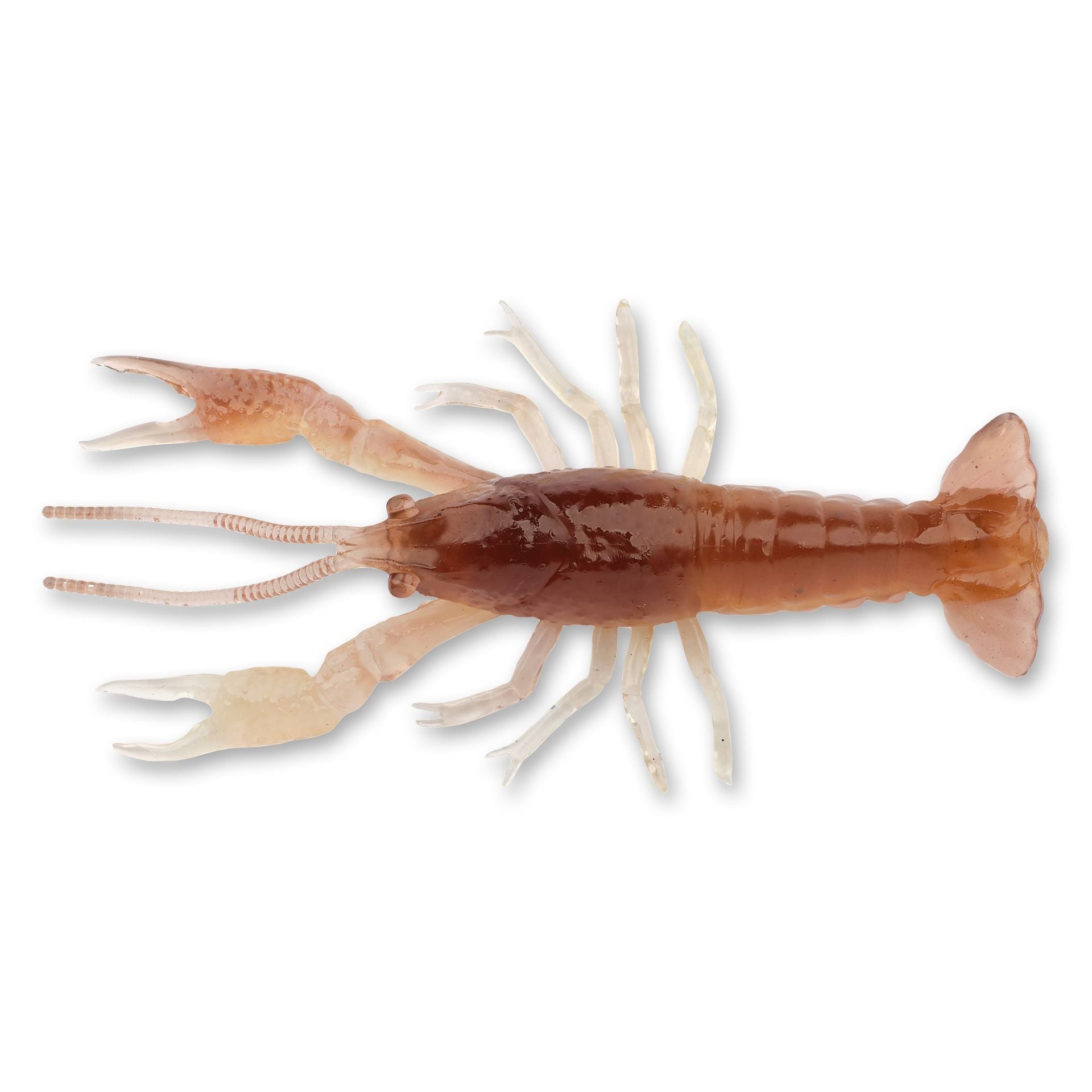 4D Craw