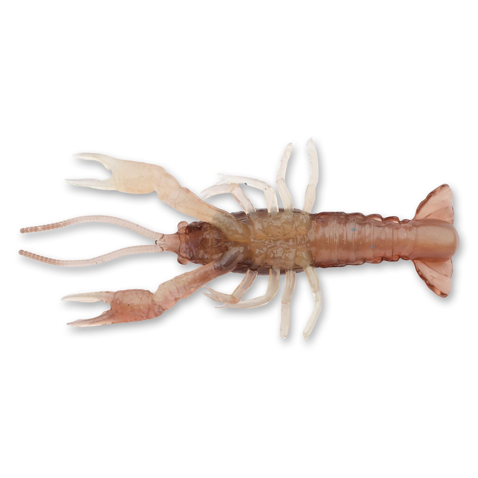 4D Craw