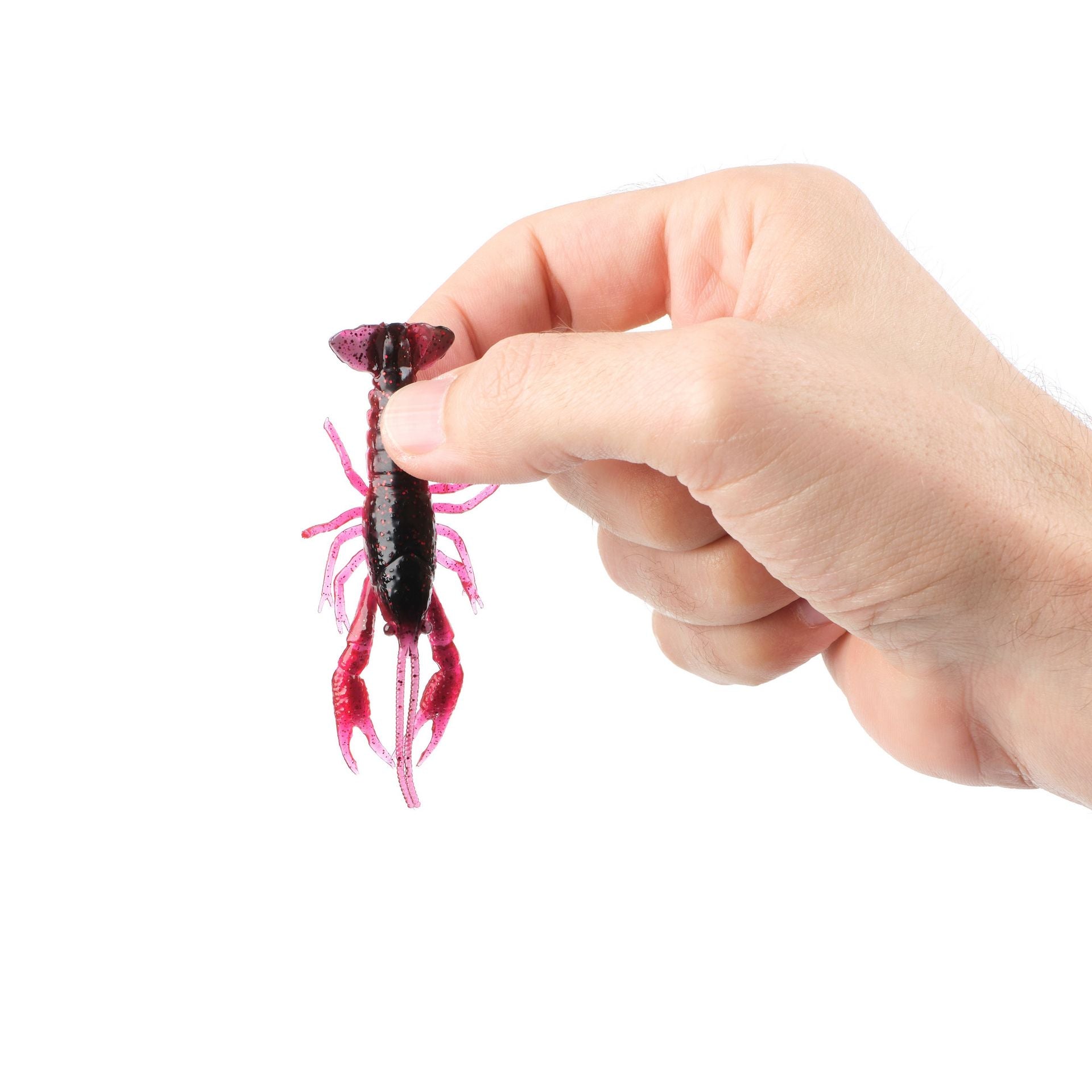 4D Craw