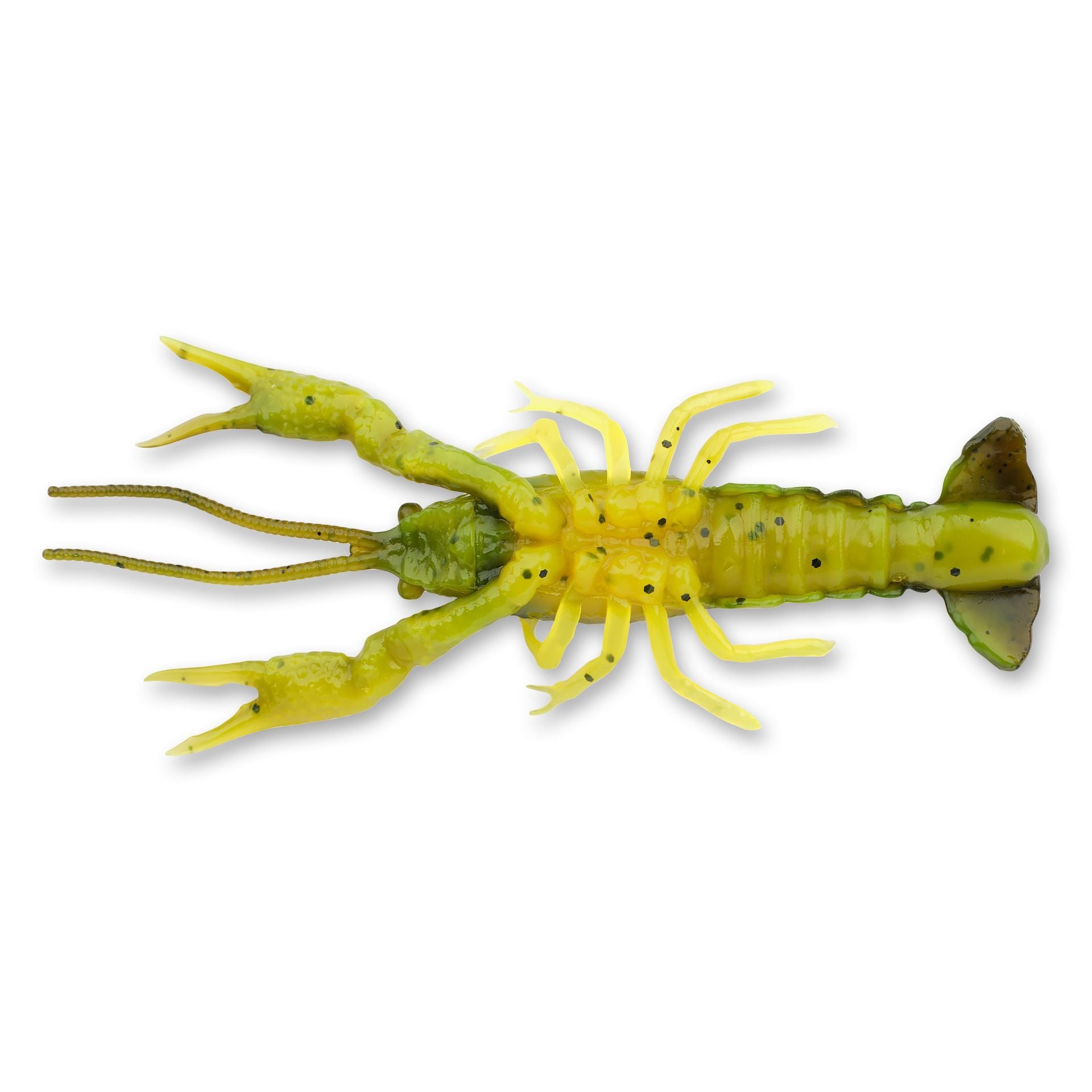 4D Craw