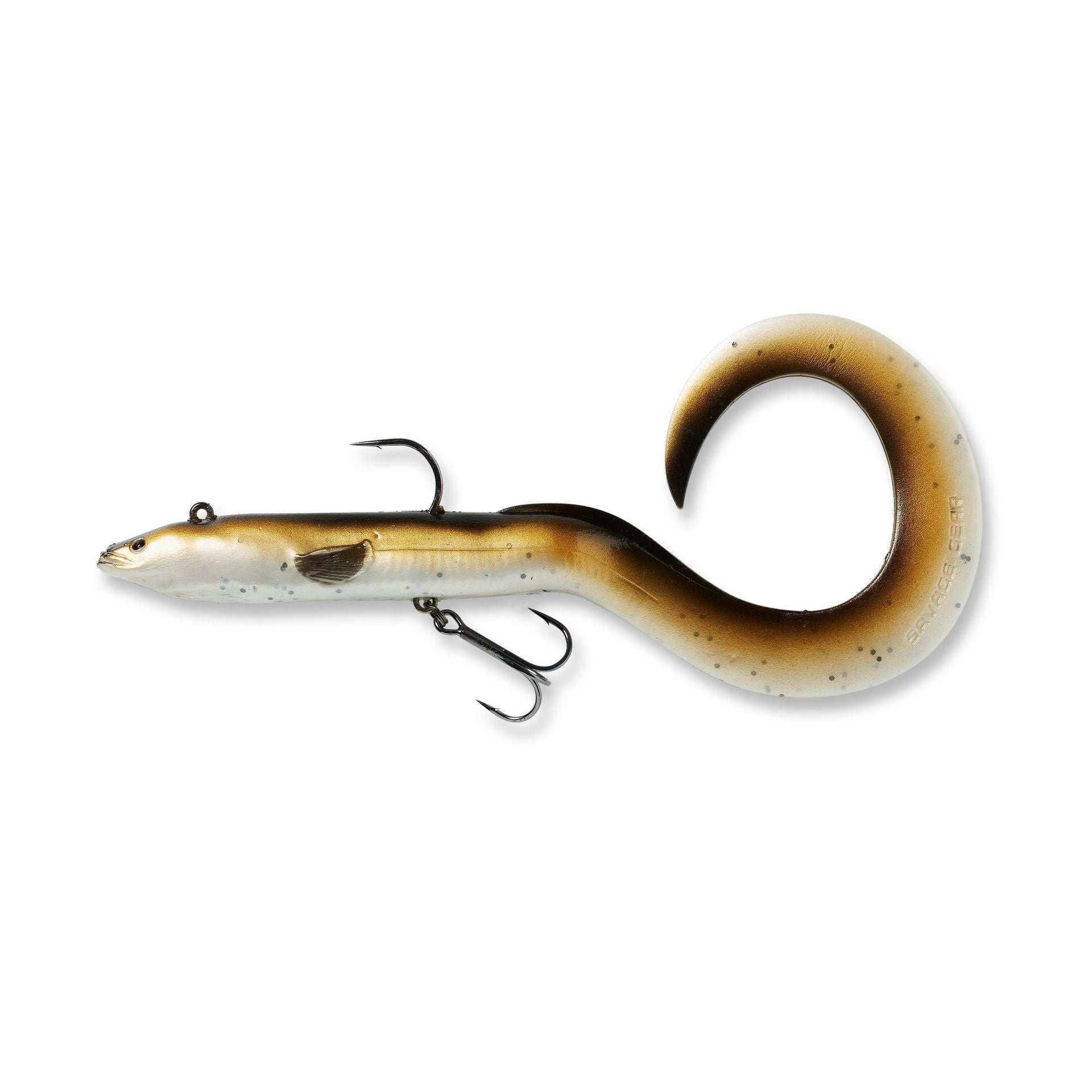 3D Real Eel