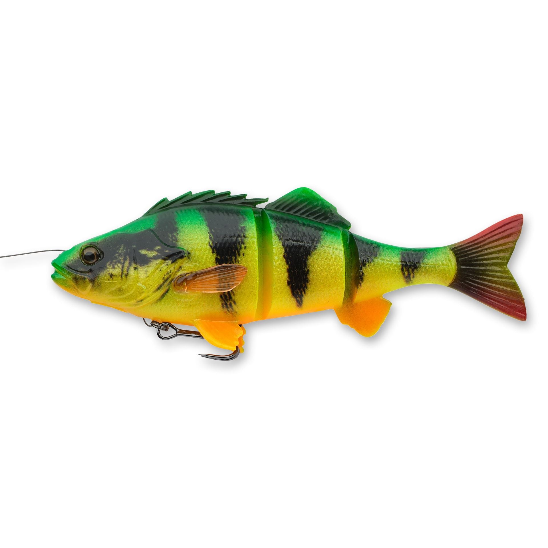 4D Yellow Perch