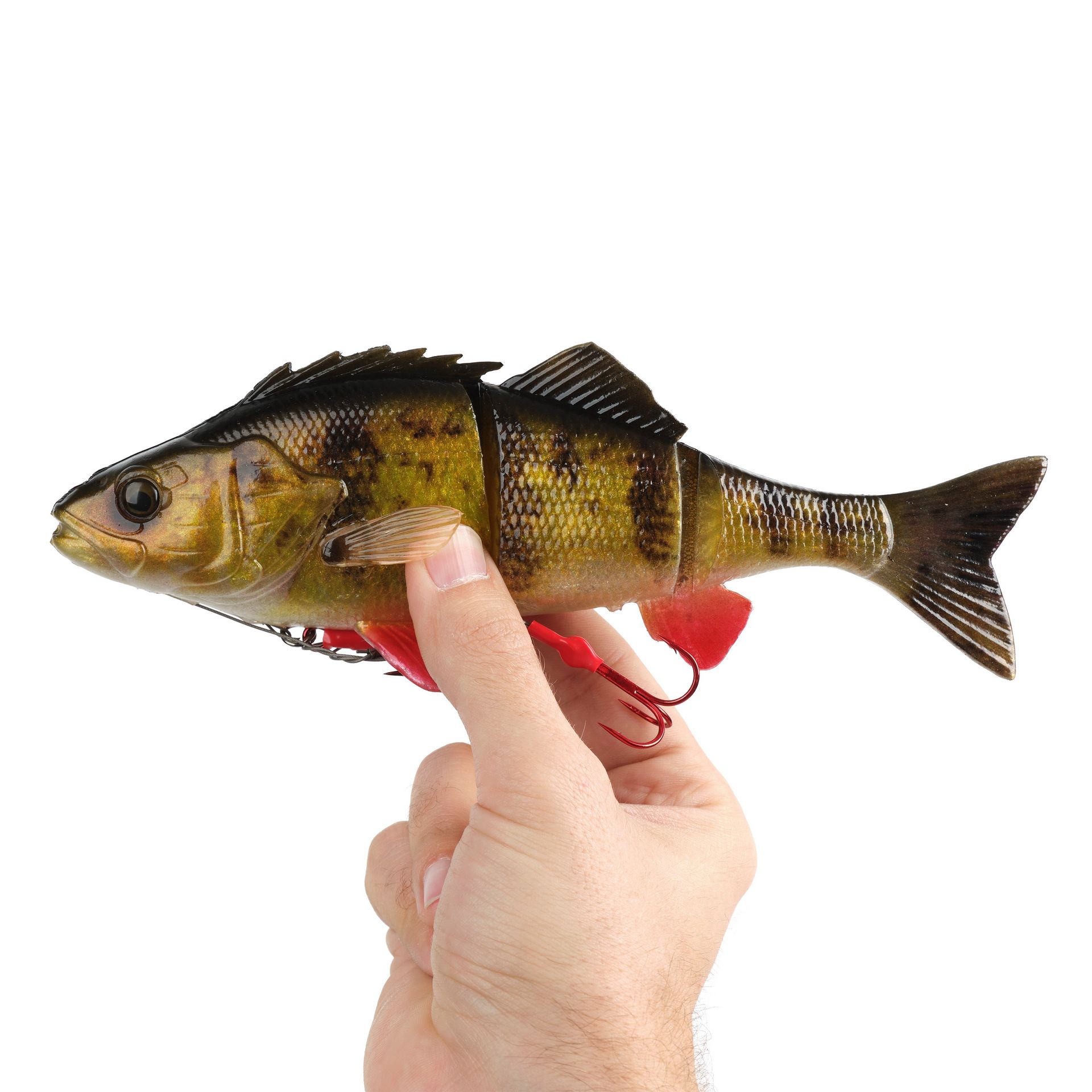 4D Yellow Perch