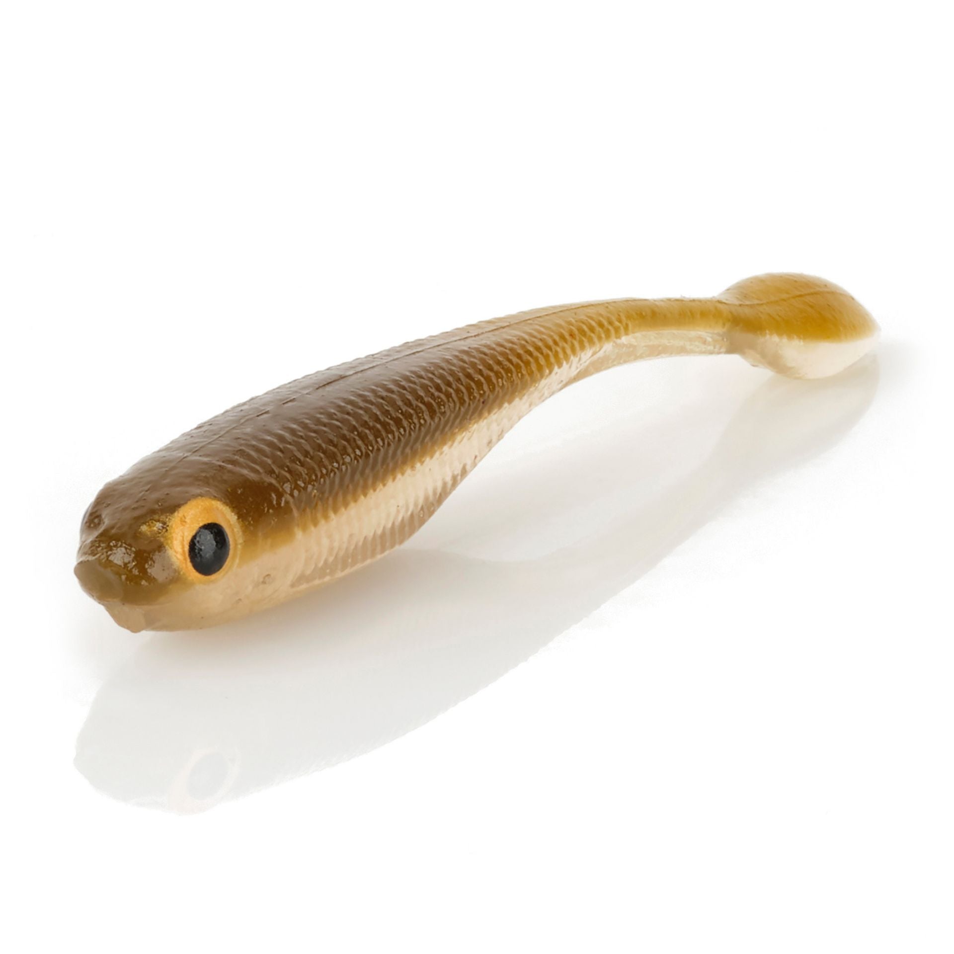 DS Minnow