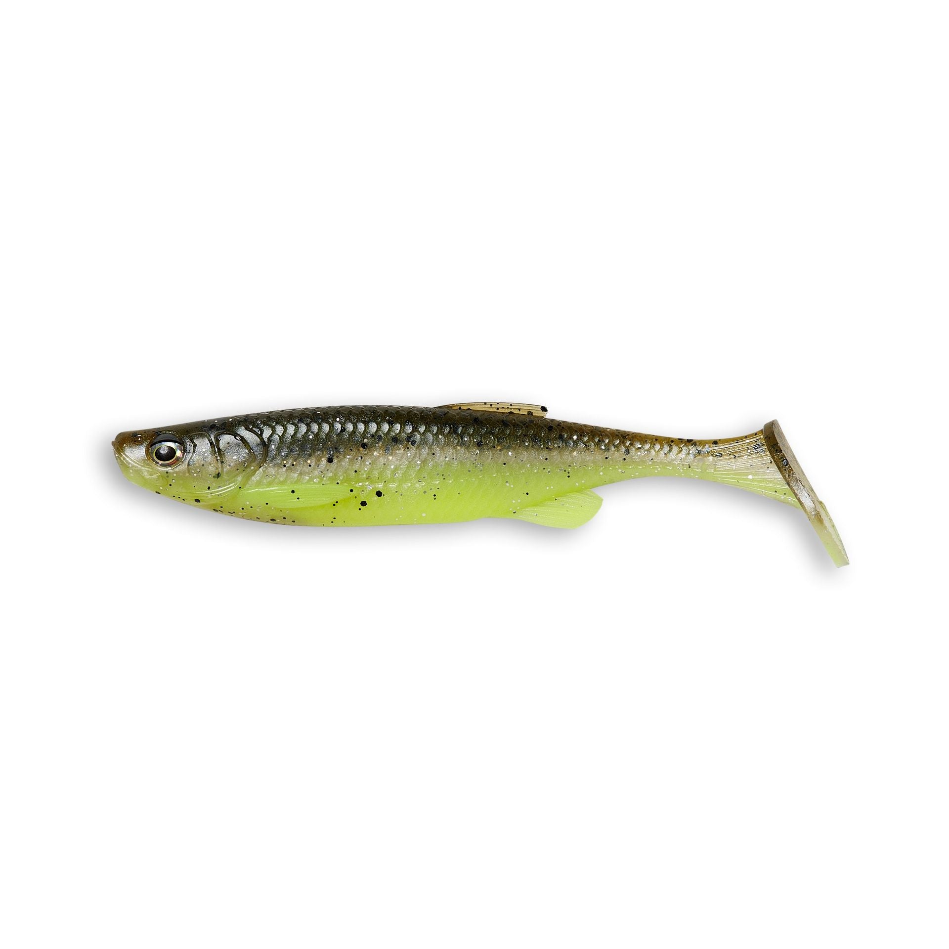 Fat T-Tail Minnow