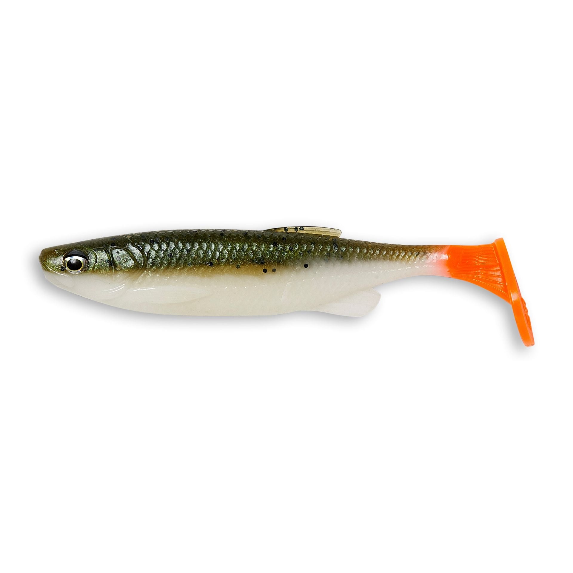 Fat T-Tail Minnow