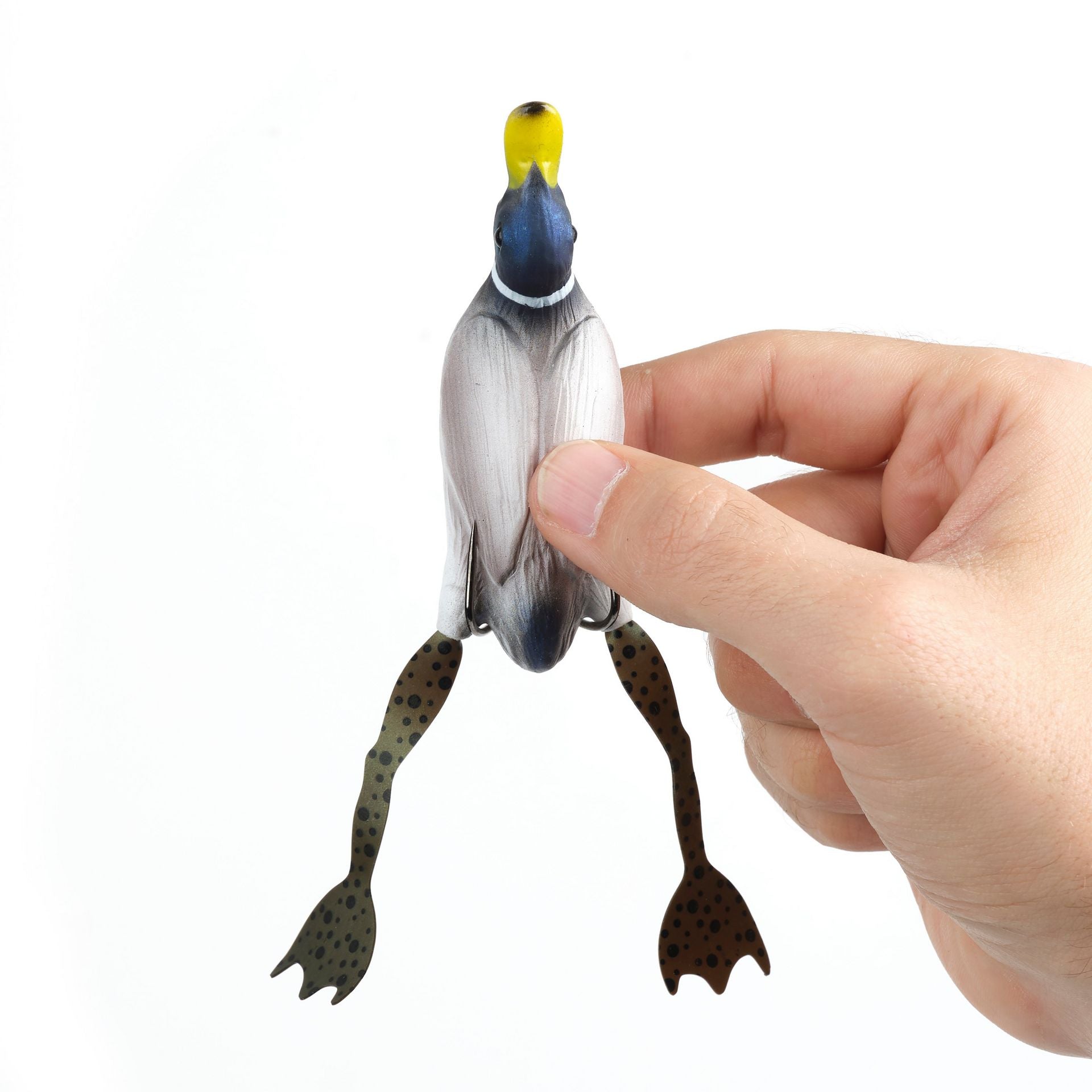 3D Hollow Body Fruck