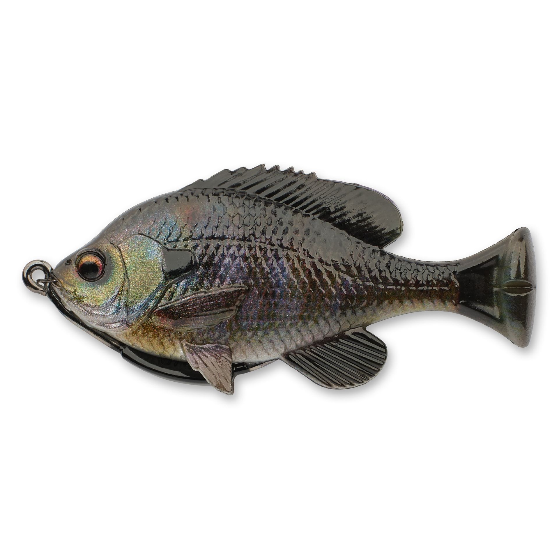 Pulse Tail Bluegill LB