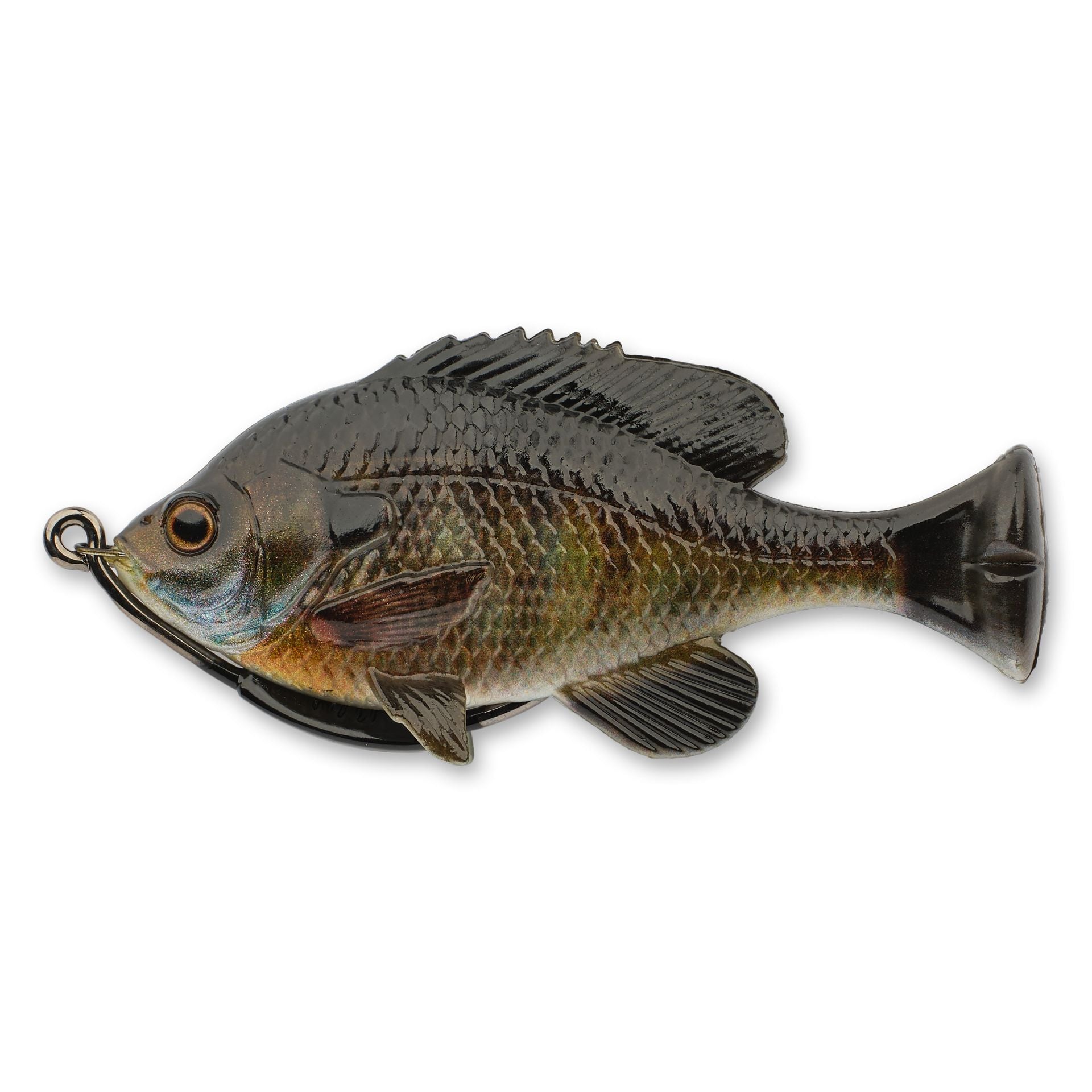 Pulse Tail Bluegill LB