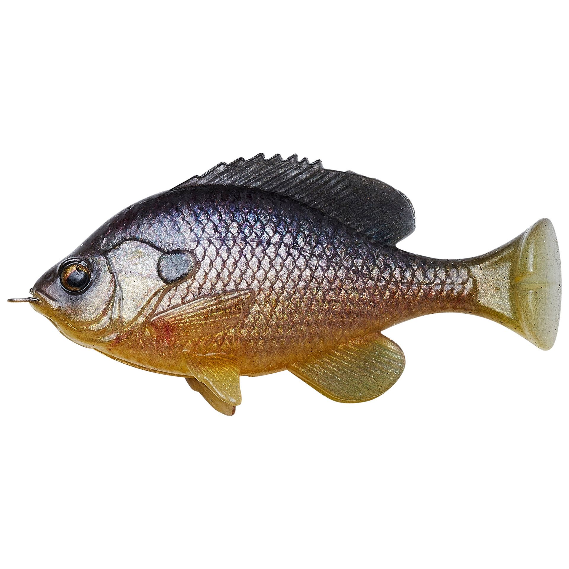 Pulse Tail Bluegill LB