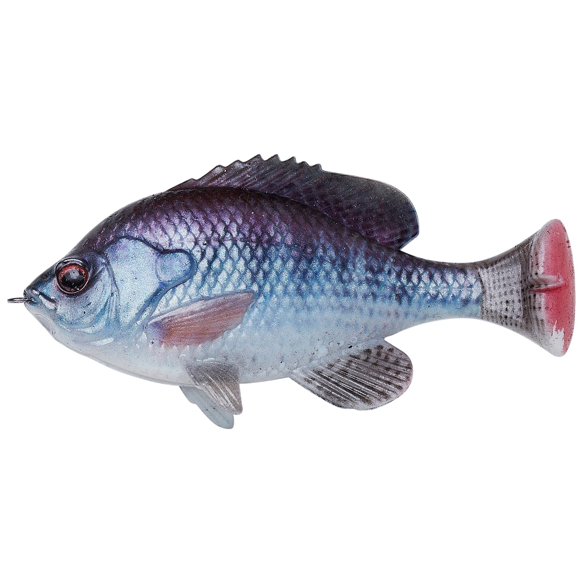 Pulse Tail Bluegill LB