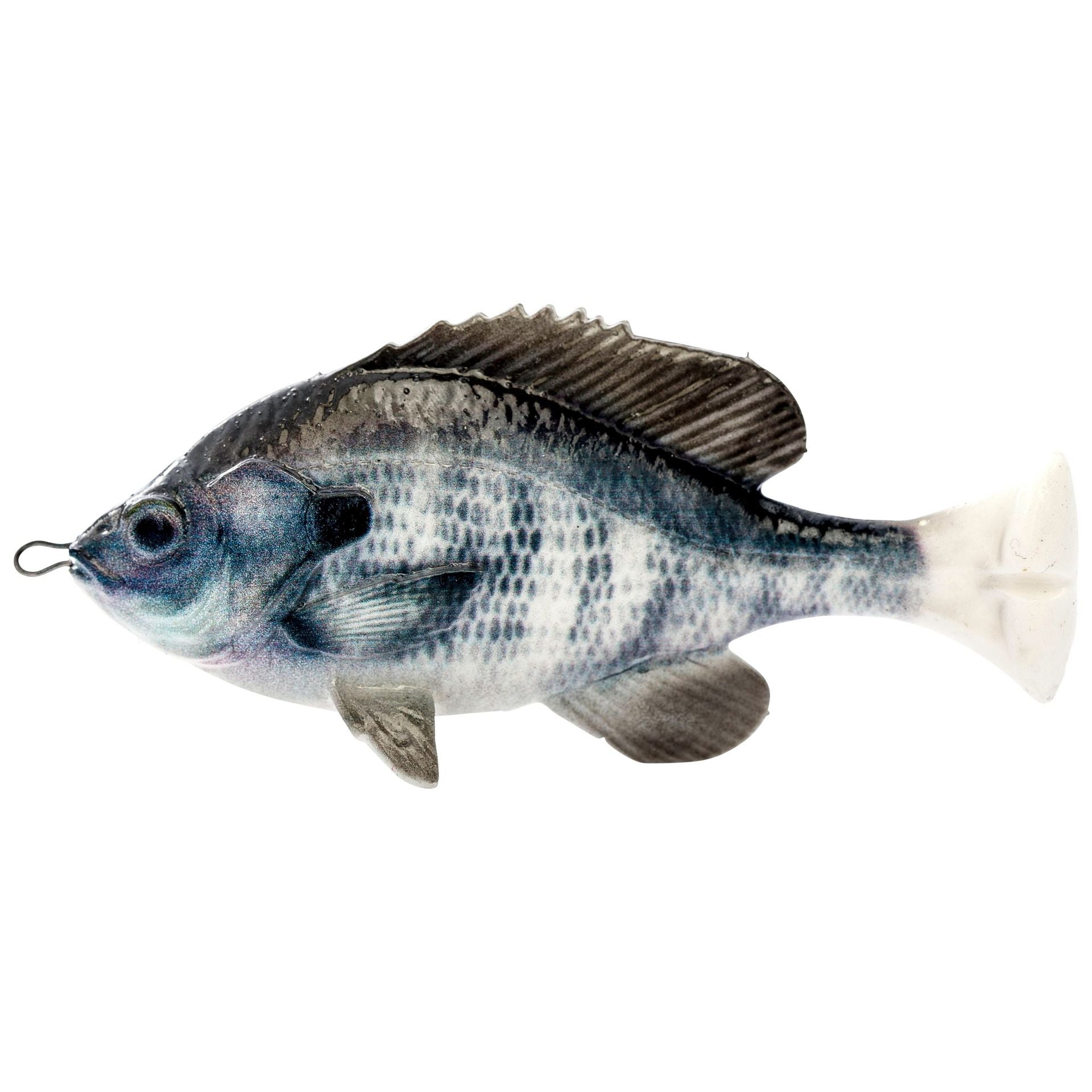 Pulse Tail Bluegill LB