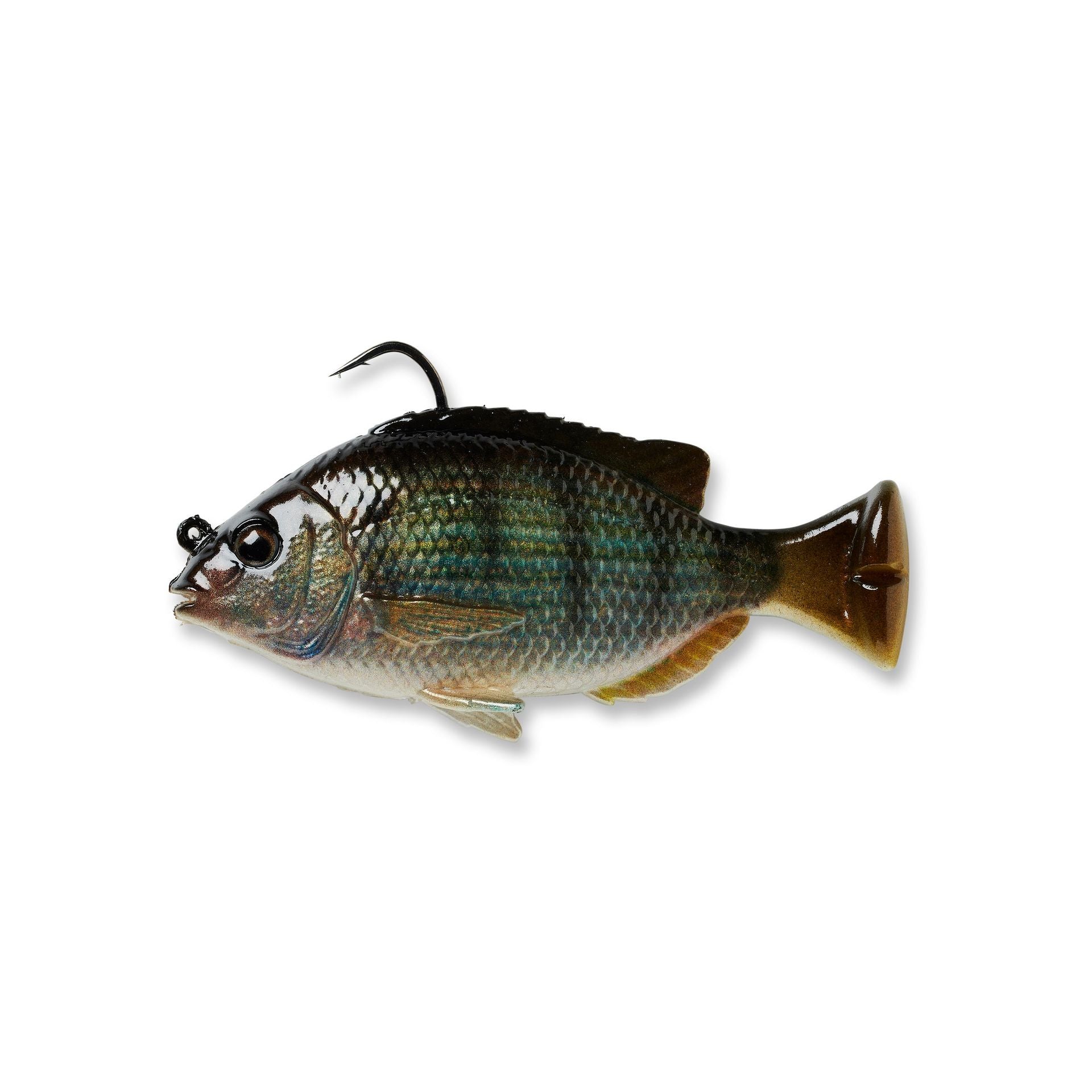 Pulse Tail Pinfish RTF