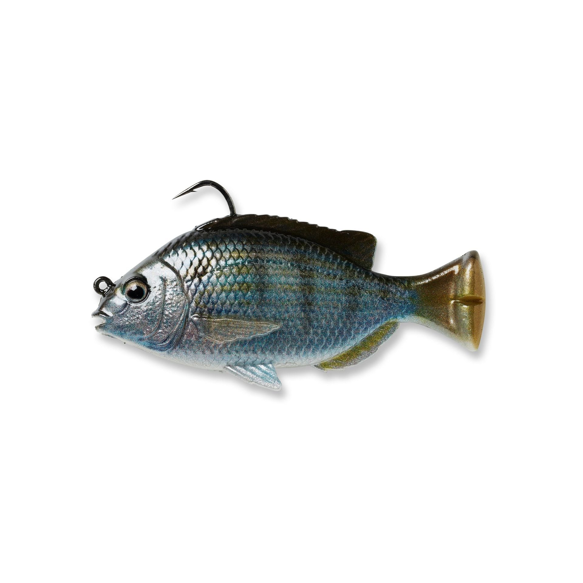 Pulse Tail Pinfish RTF