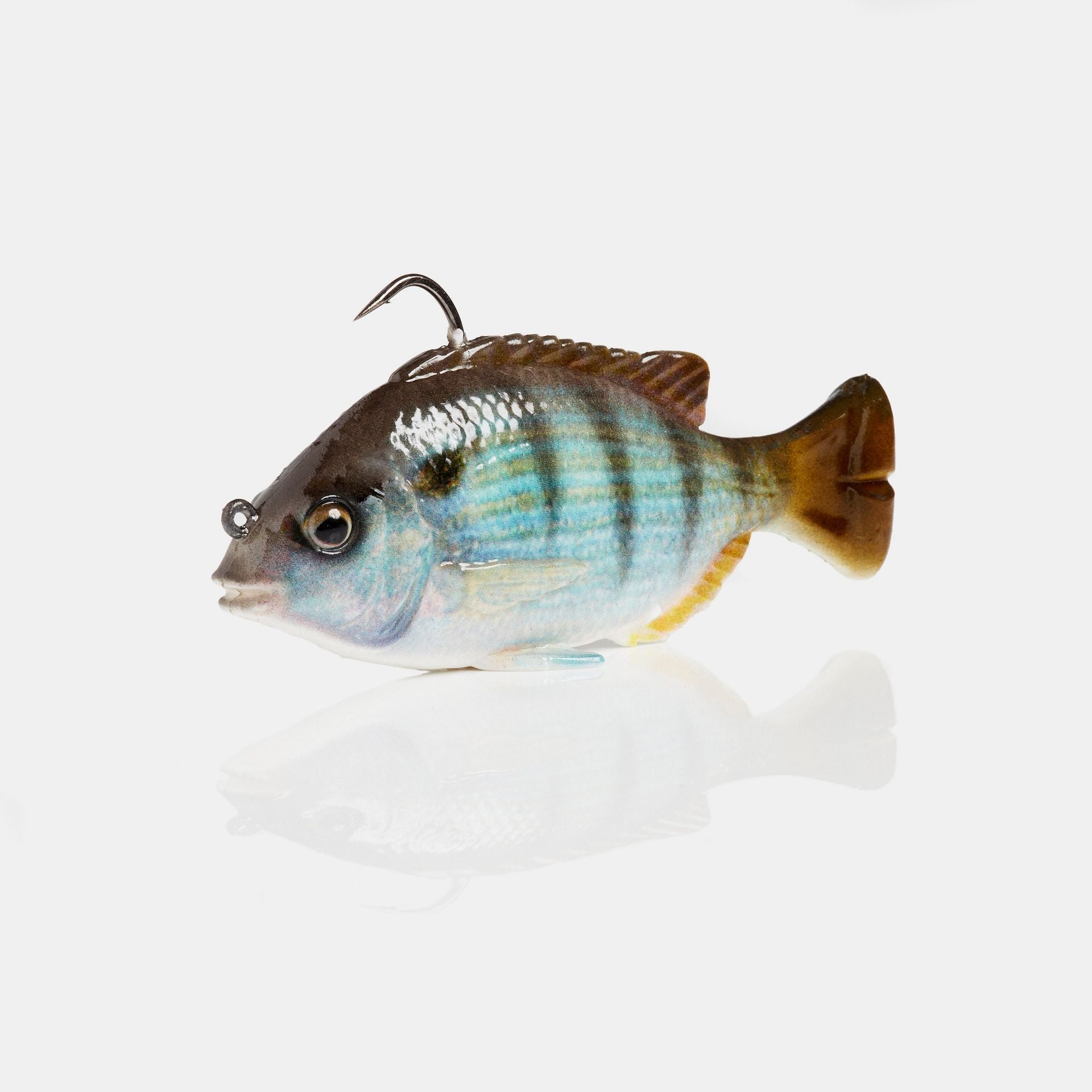 Pulse Tail Pinfish RTF