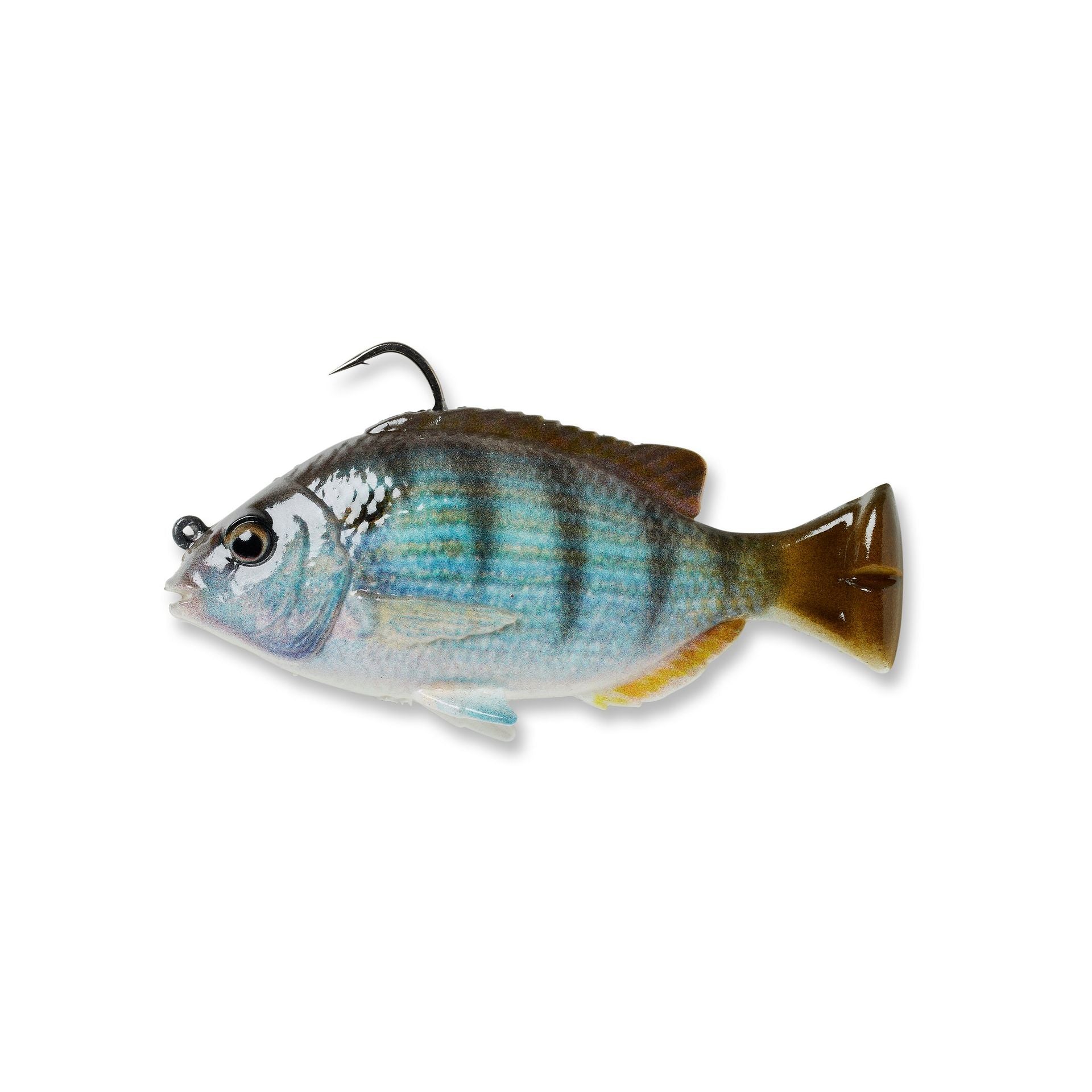 Pulse Tail Pinfish RTF