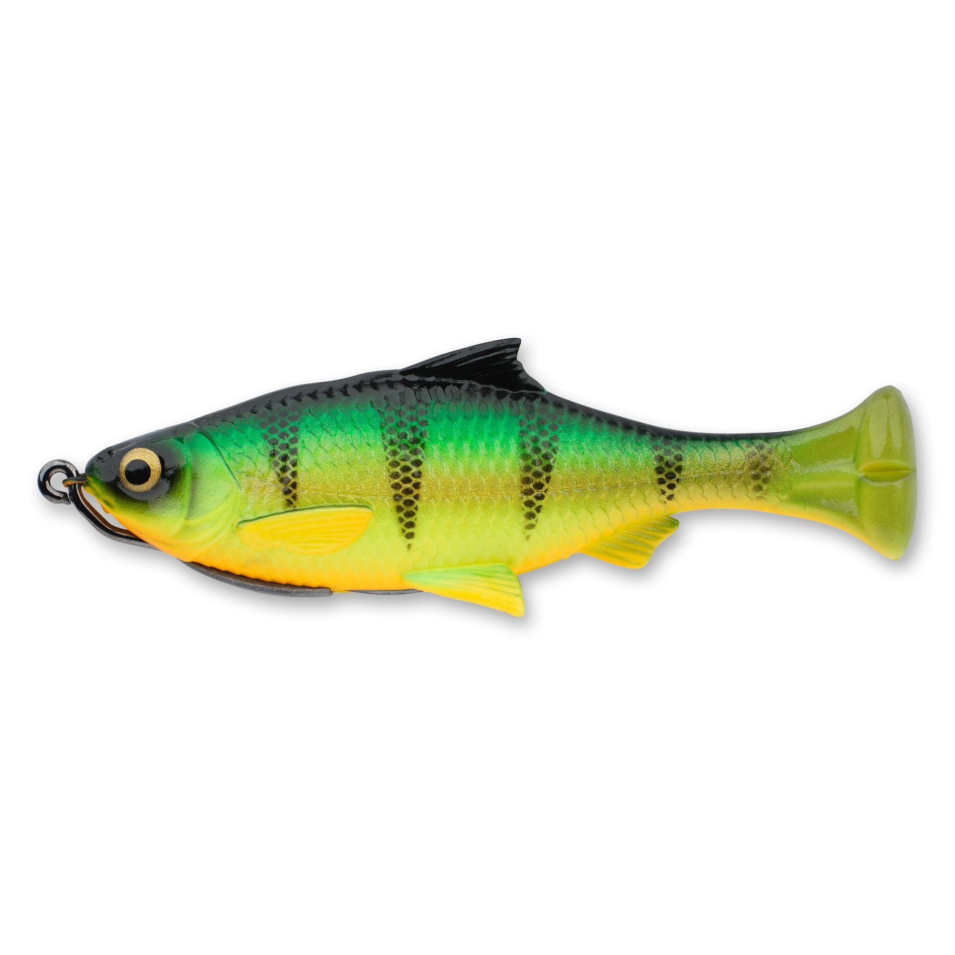 Pulse Tail Shiner Loose Body