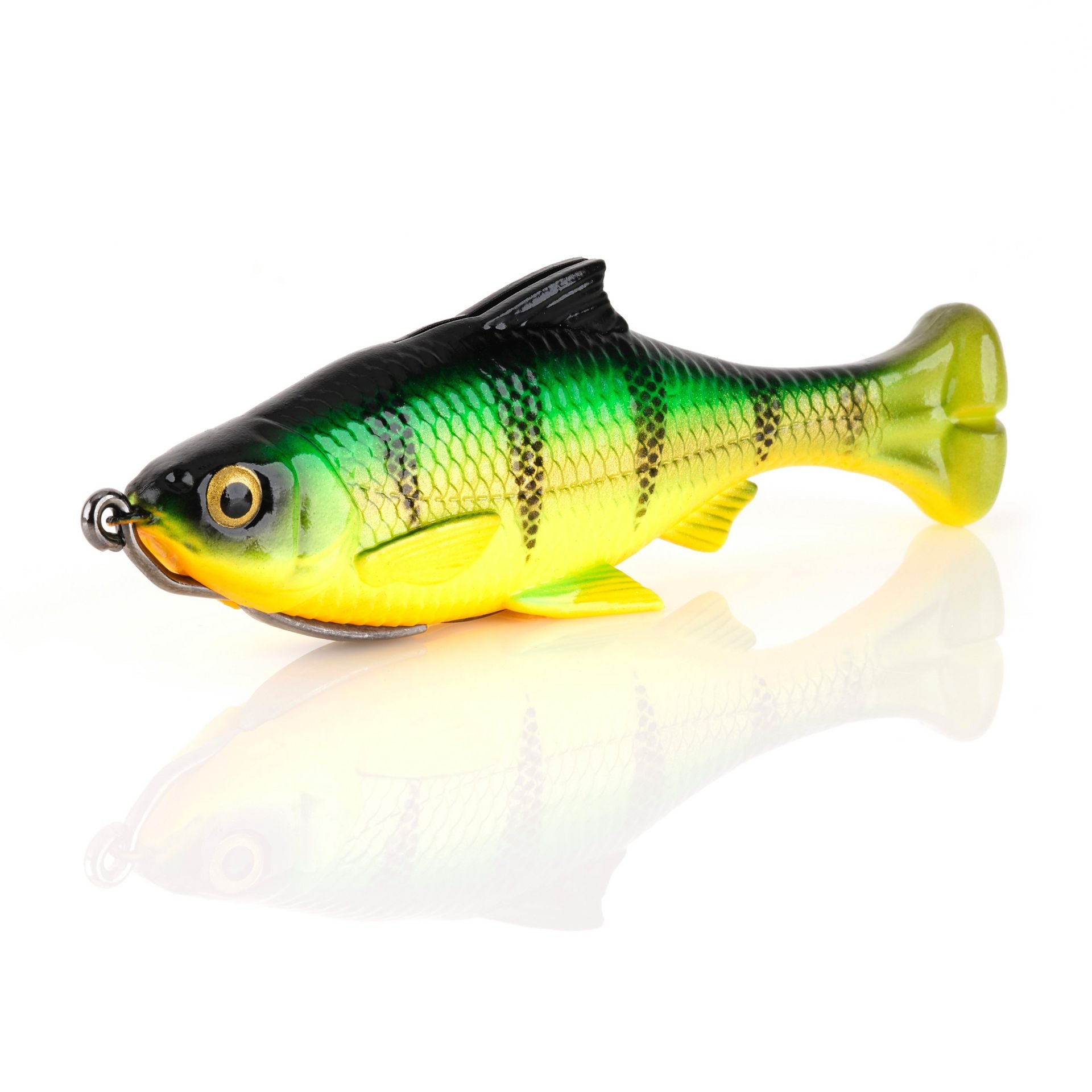 Pulse Tail Shiner Loose Body