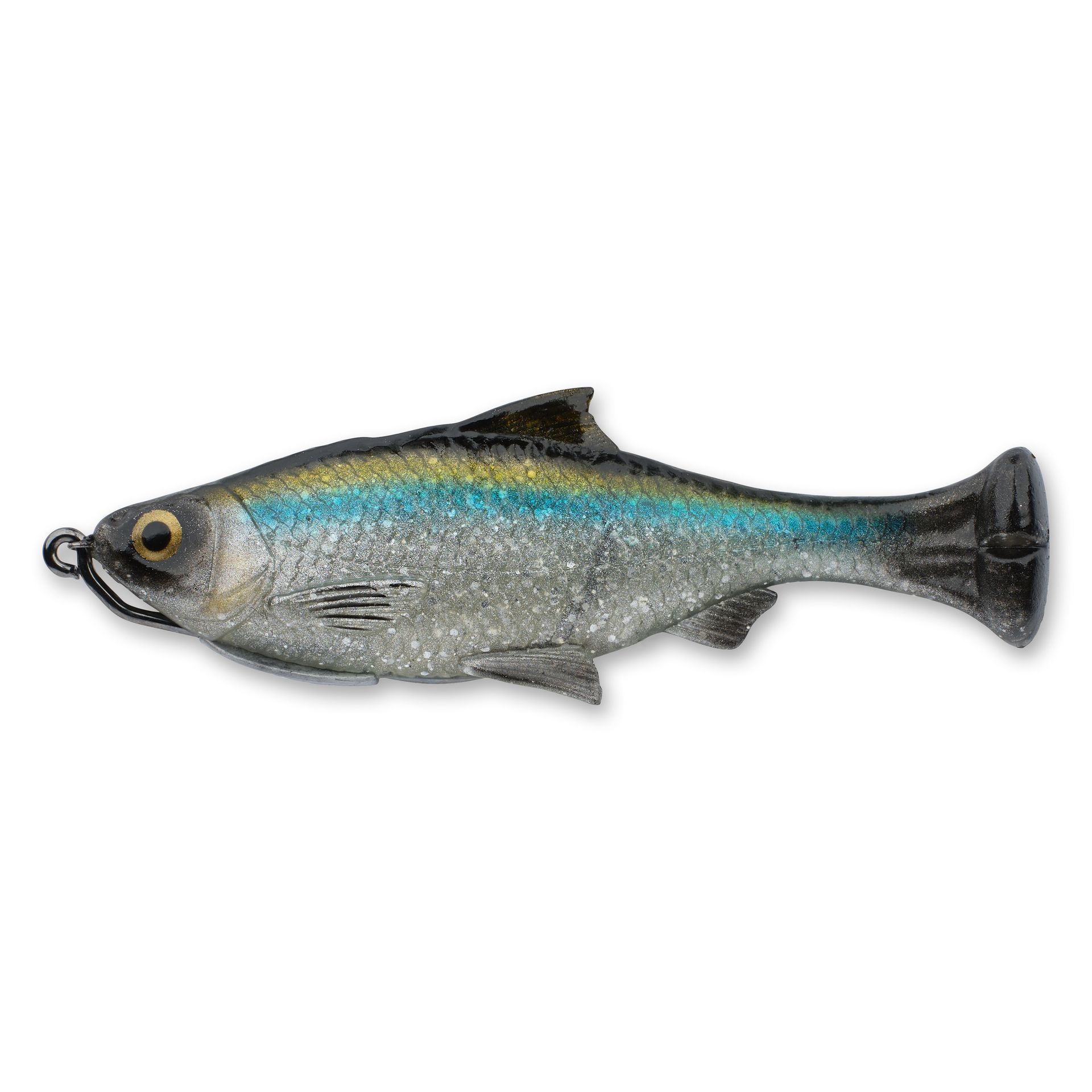 Pulse Tail Shiner Loose Body