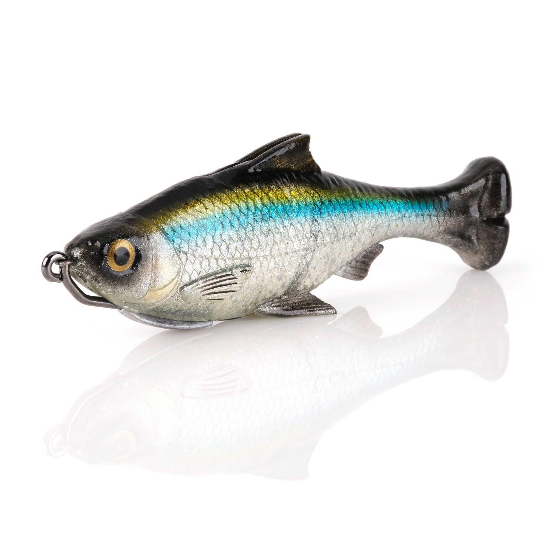 Pulse Tail Shiner Loose Body