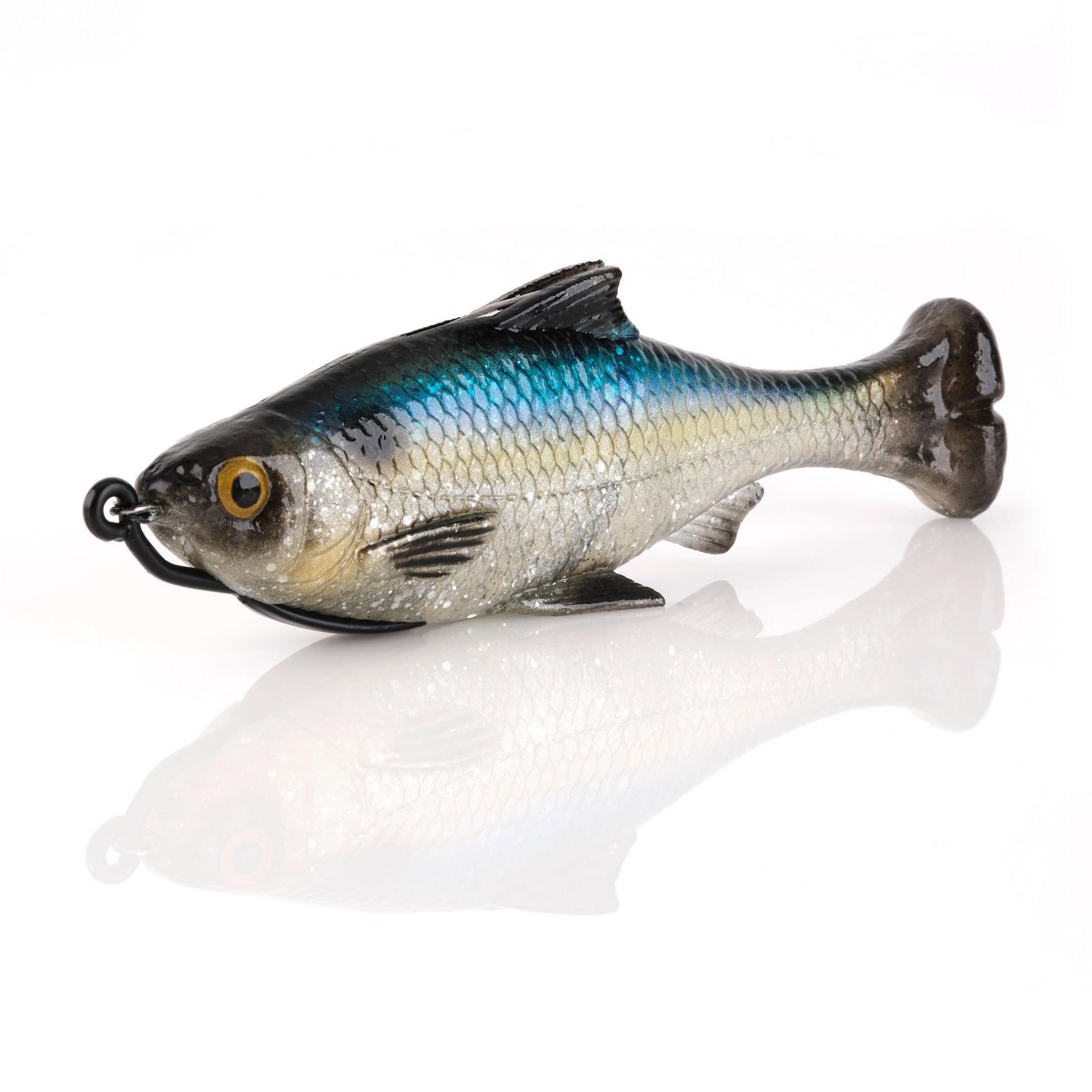 Pulse Tail Shiner Loose Body