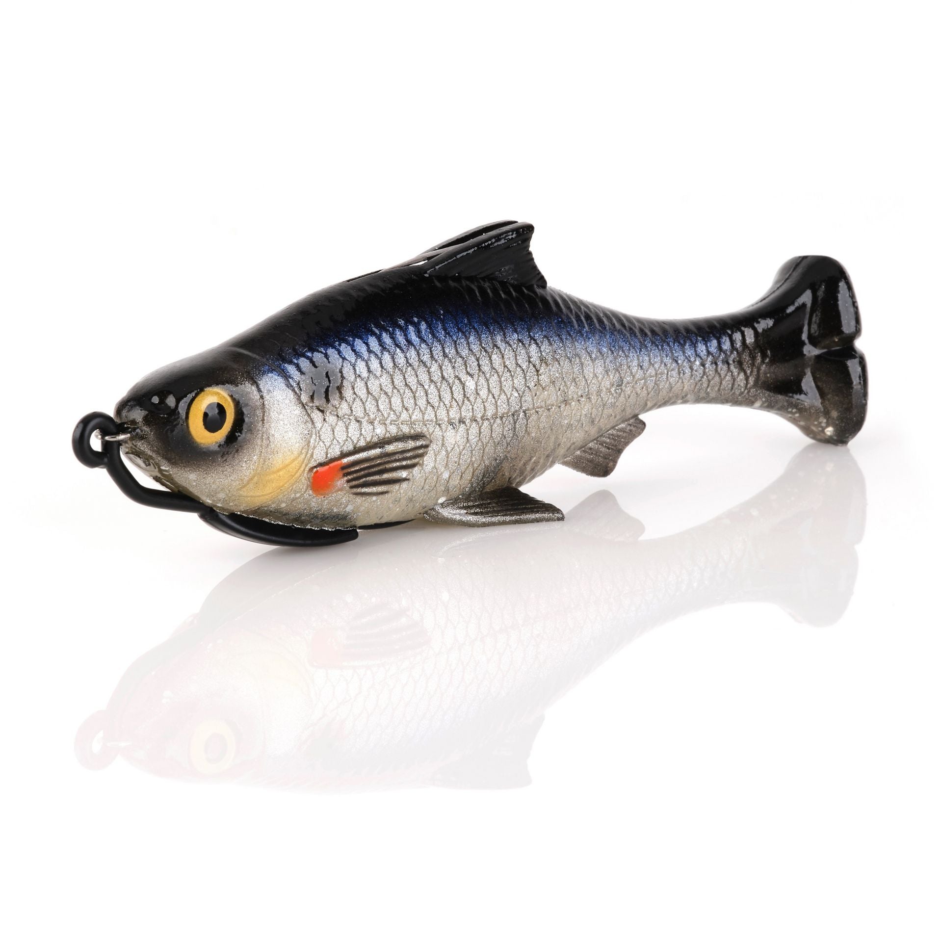 Pulse Tail Shiner Loose Body