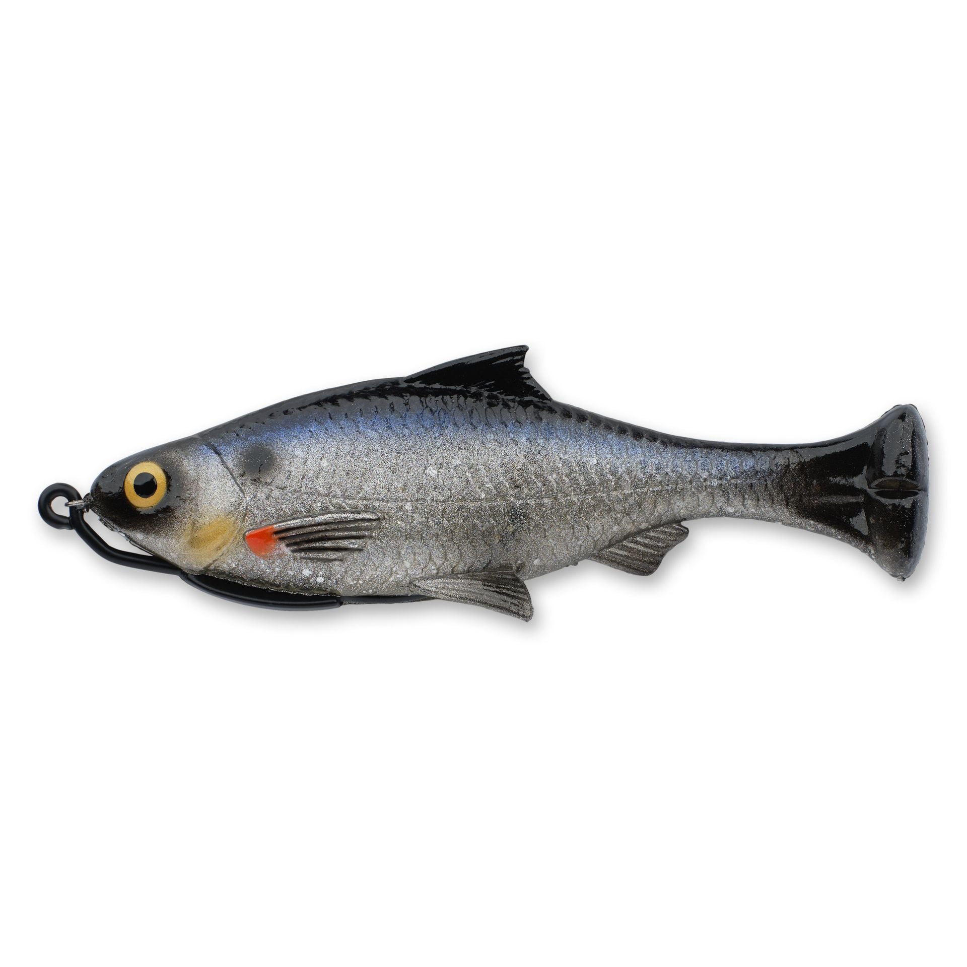 Pulse Tail Shiner Loose Body