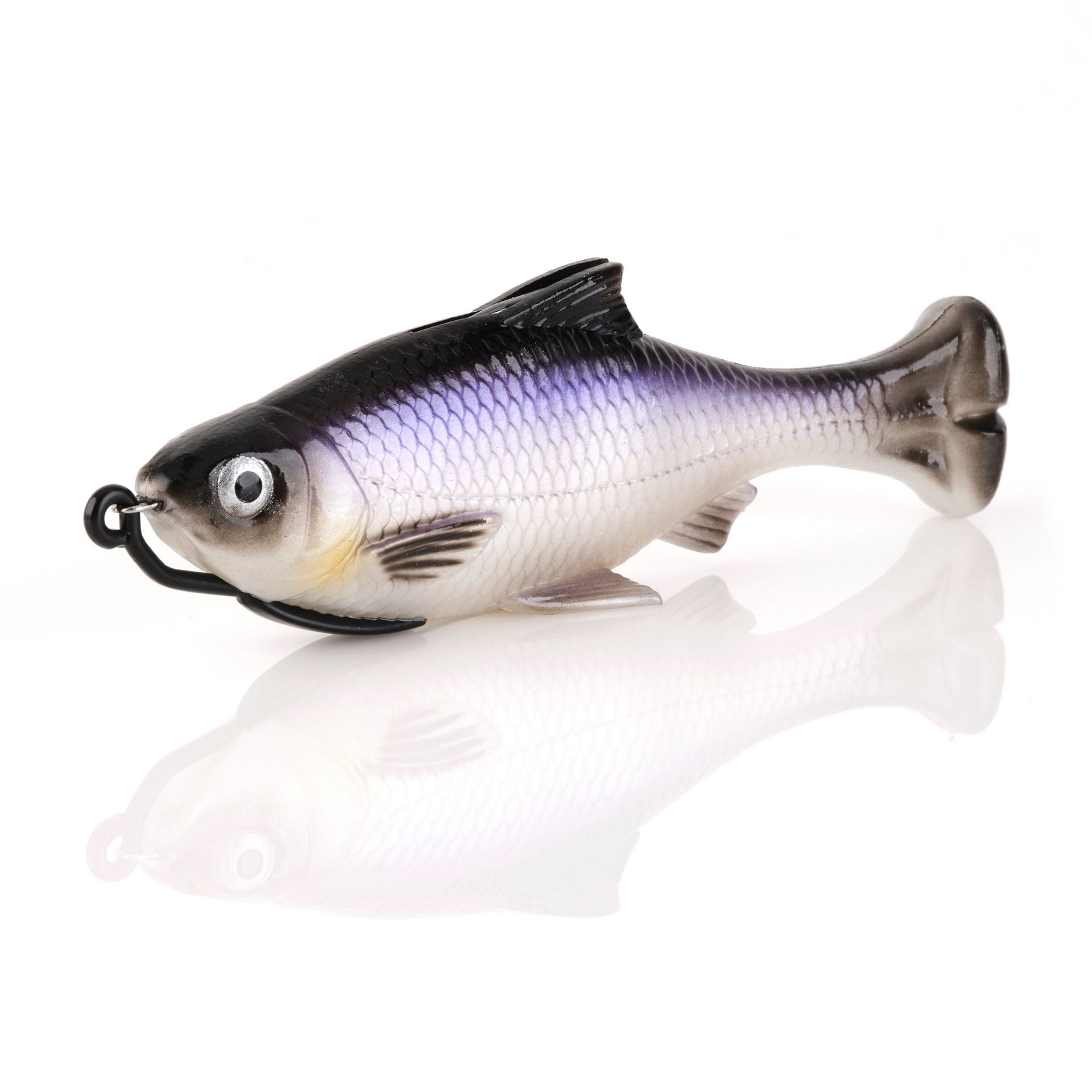 Pulse Tail Shiner Loose Body