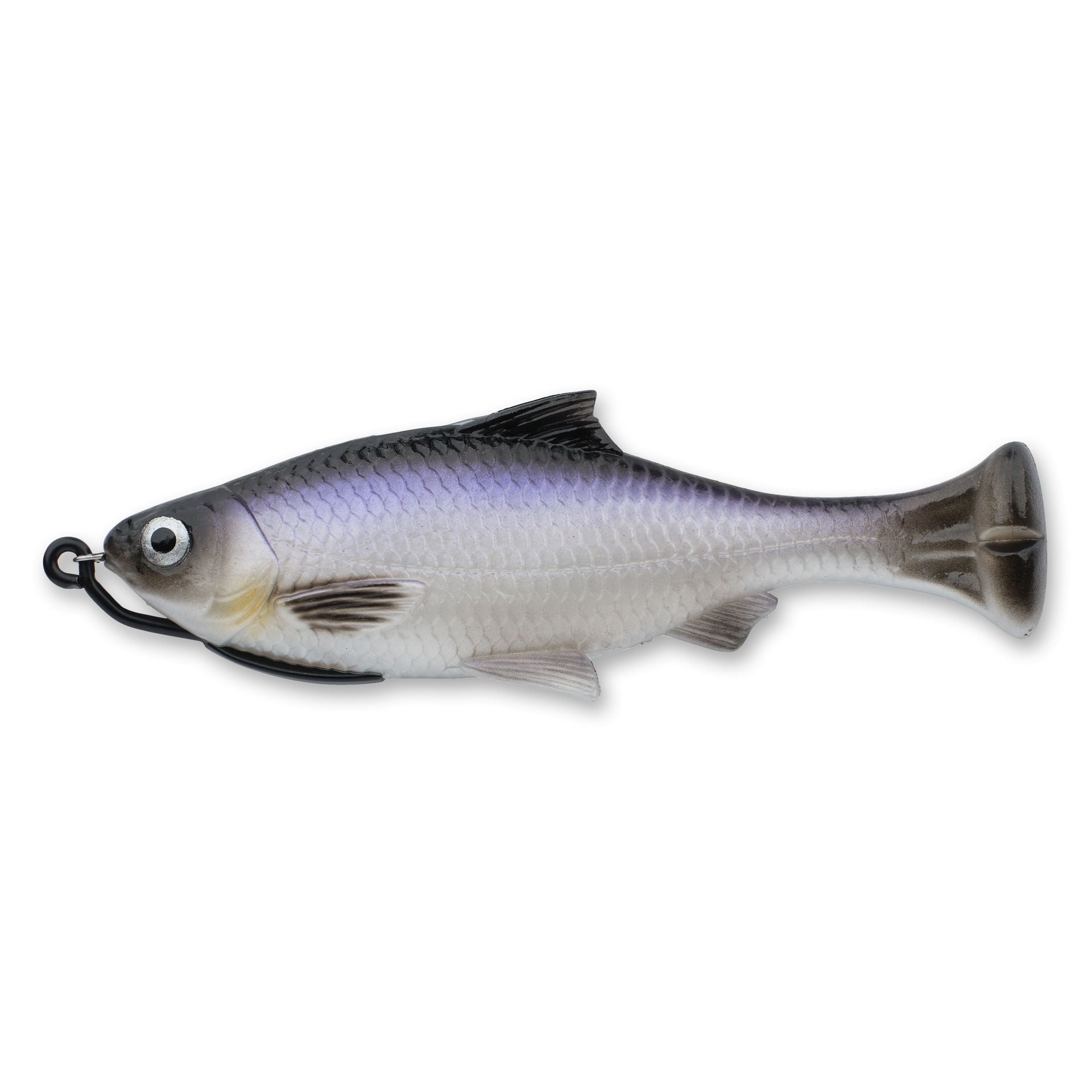 Pulse Tail Shiner Loose Body