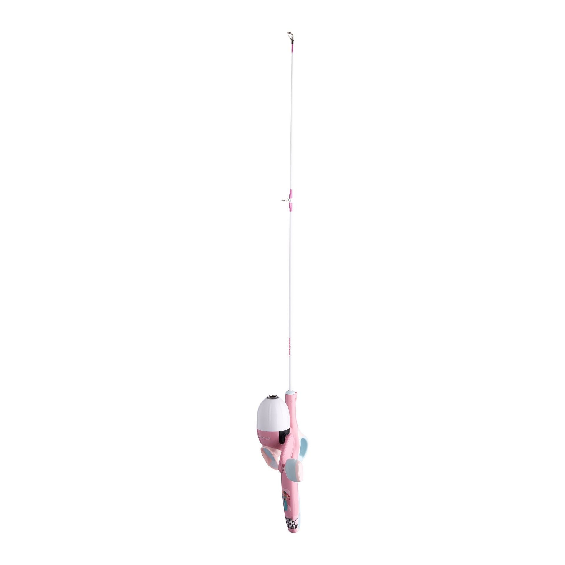 Disney® Princess Advanced Kit