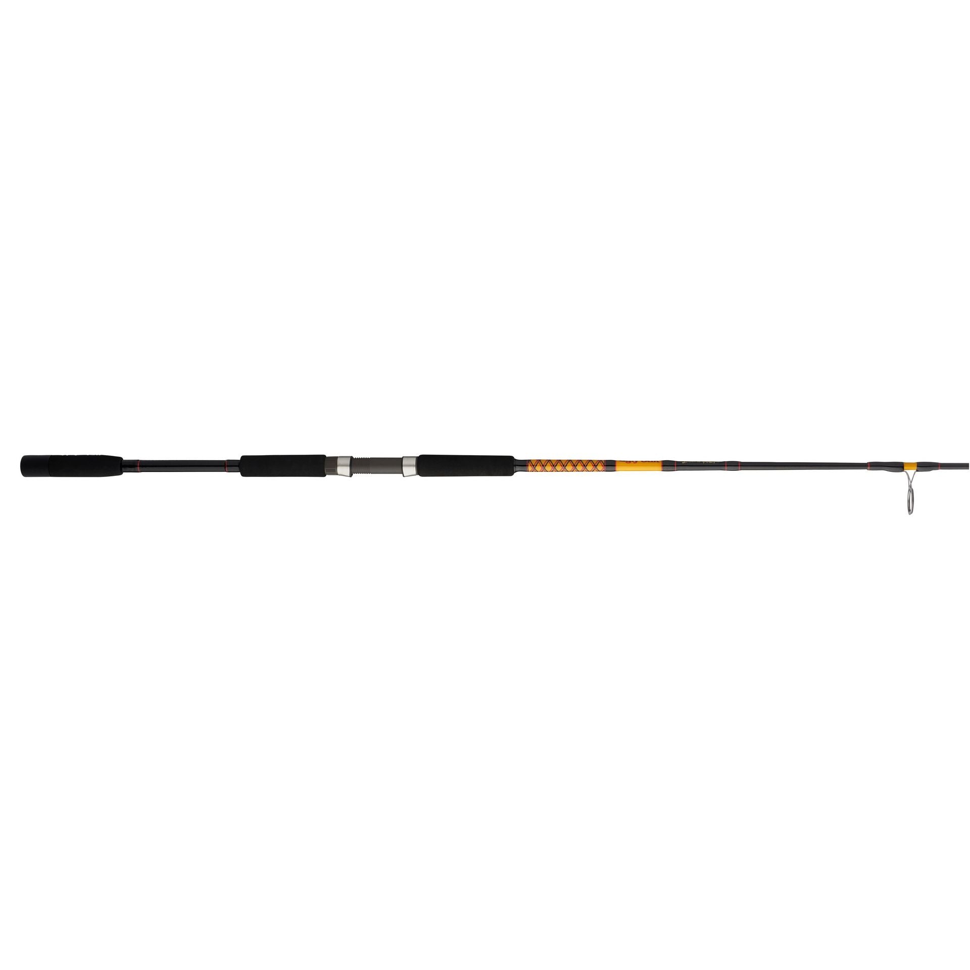 Bigwater 2-Piece Spinning Rod