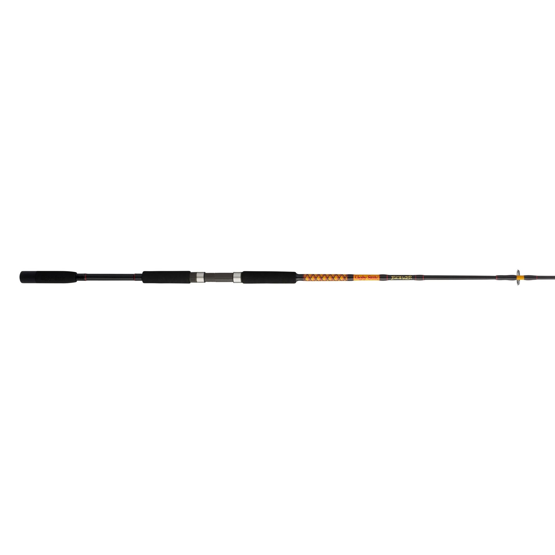 Bigwater 2-Piece Spinning Rod