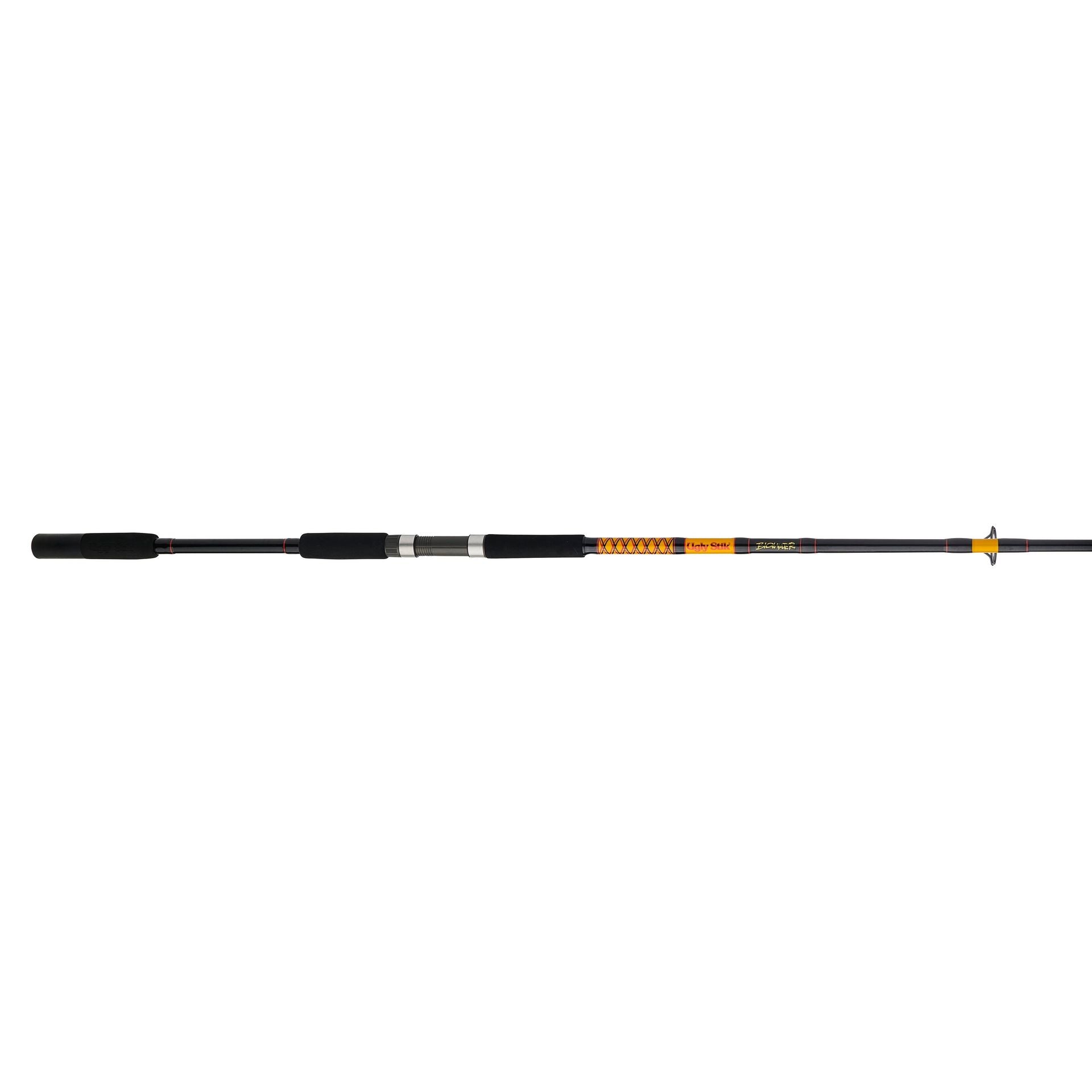 Bigwater 2-Piece Spinning Rod