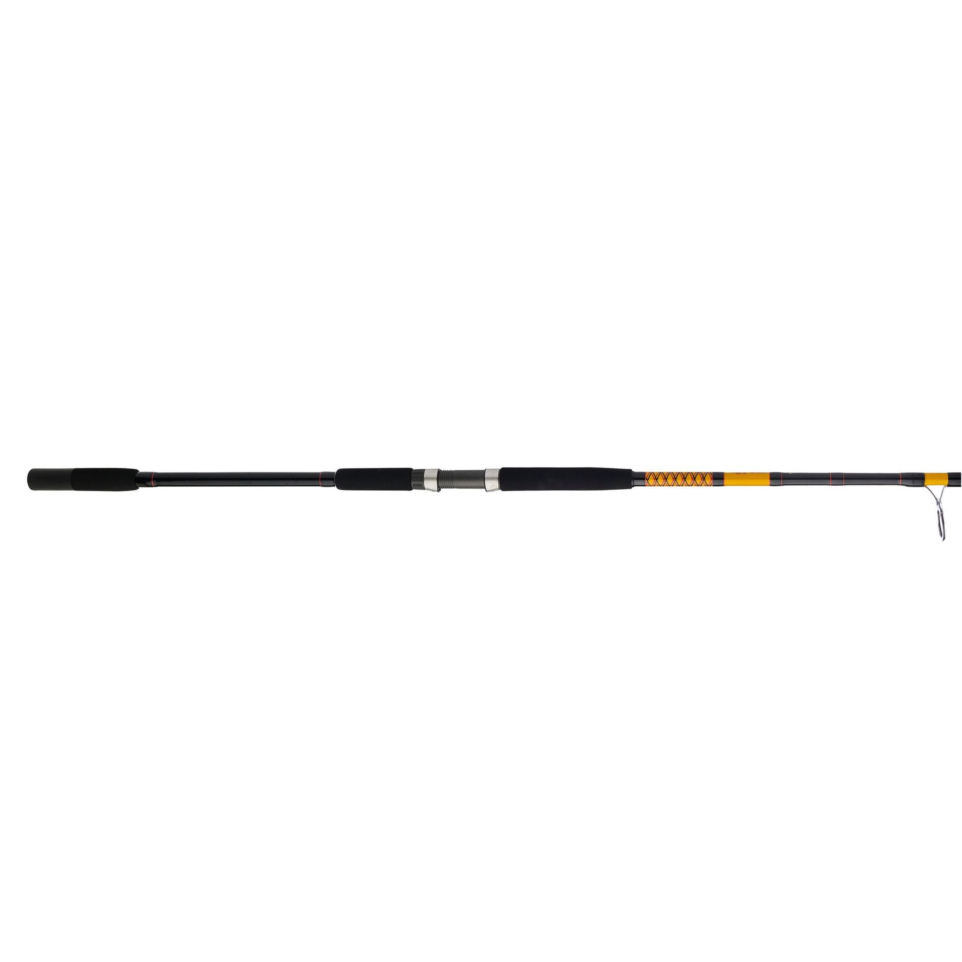Bigwater 2-Piece Spinning Rod