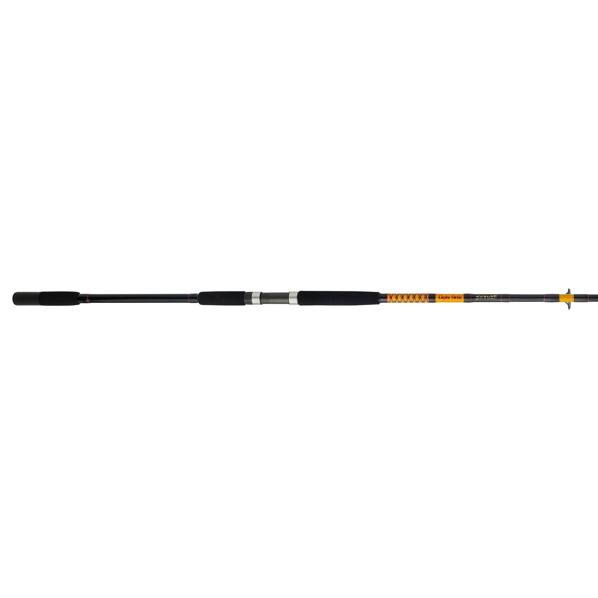 Bigwater 2-Piece Spinning Rod