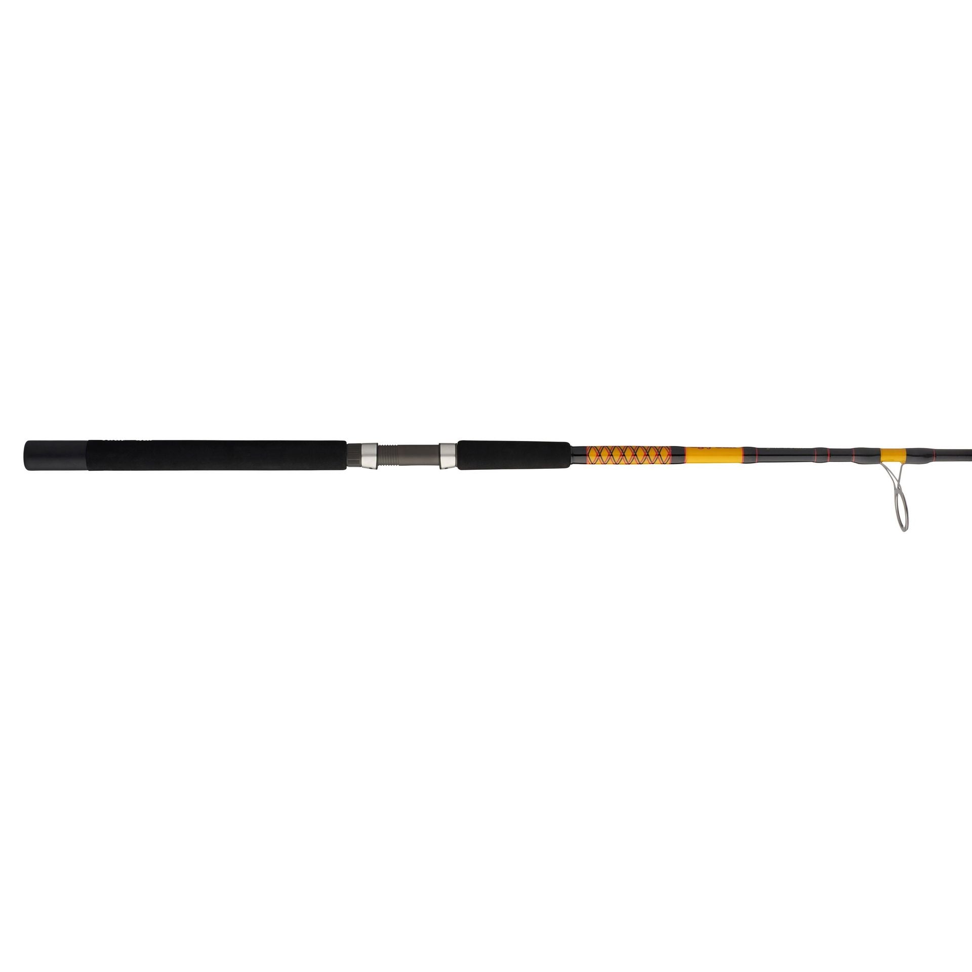 Bigwater 2-Piece Spinning Rod