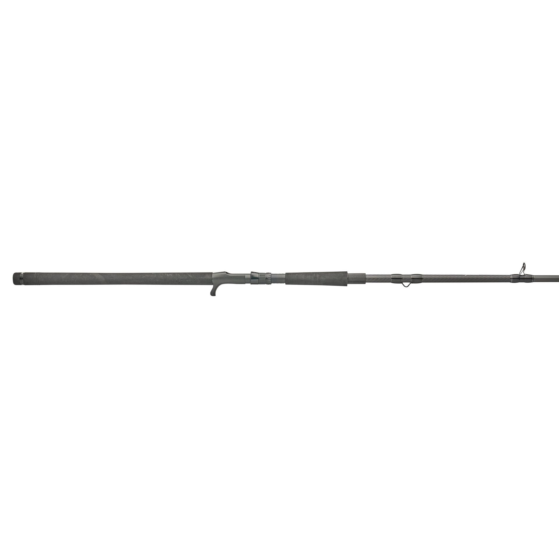 Beast™ Casting Rod