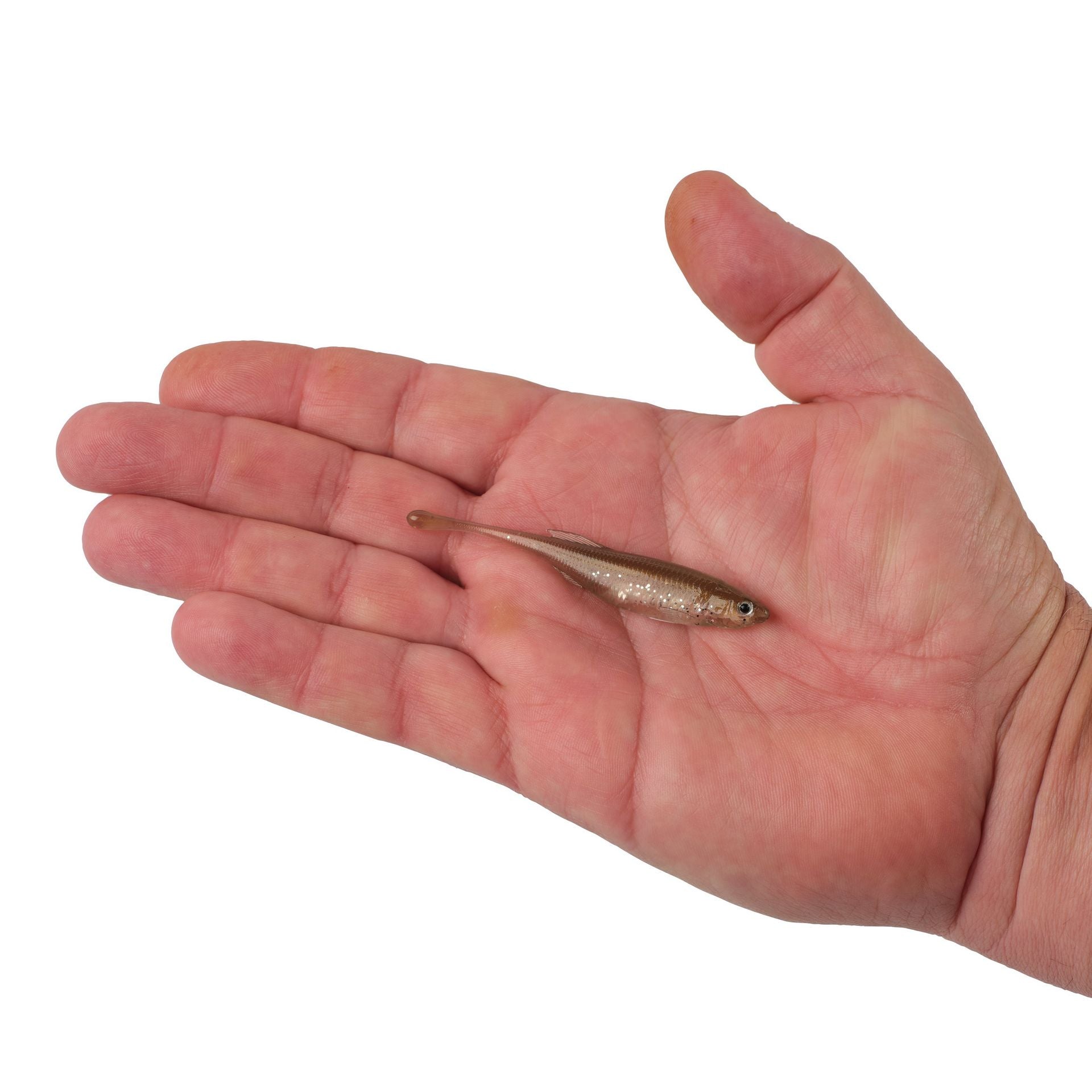 PowerBait® Drip Minnow