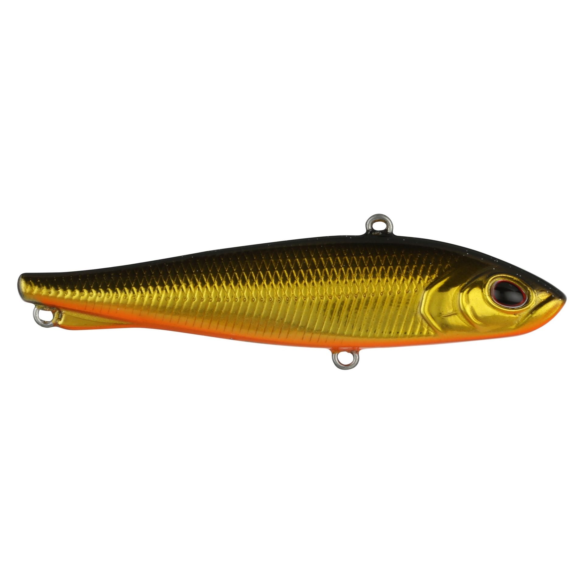 Ripfish