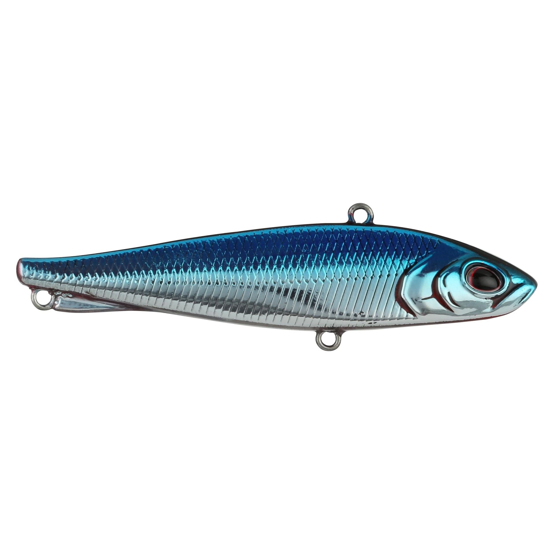 Ripfish