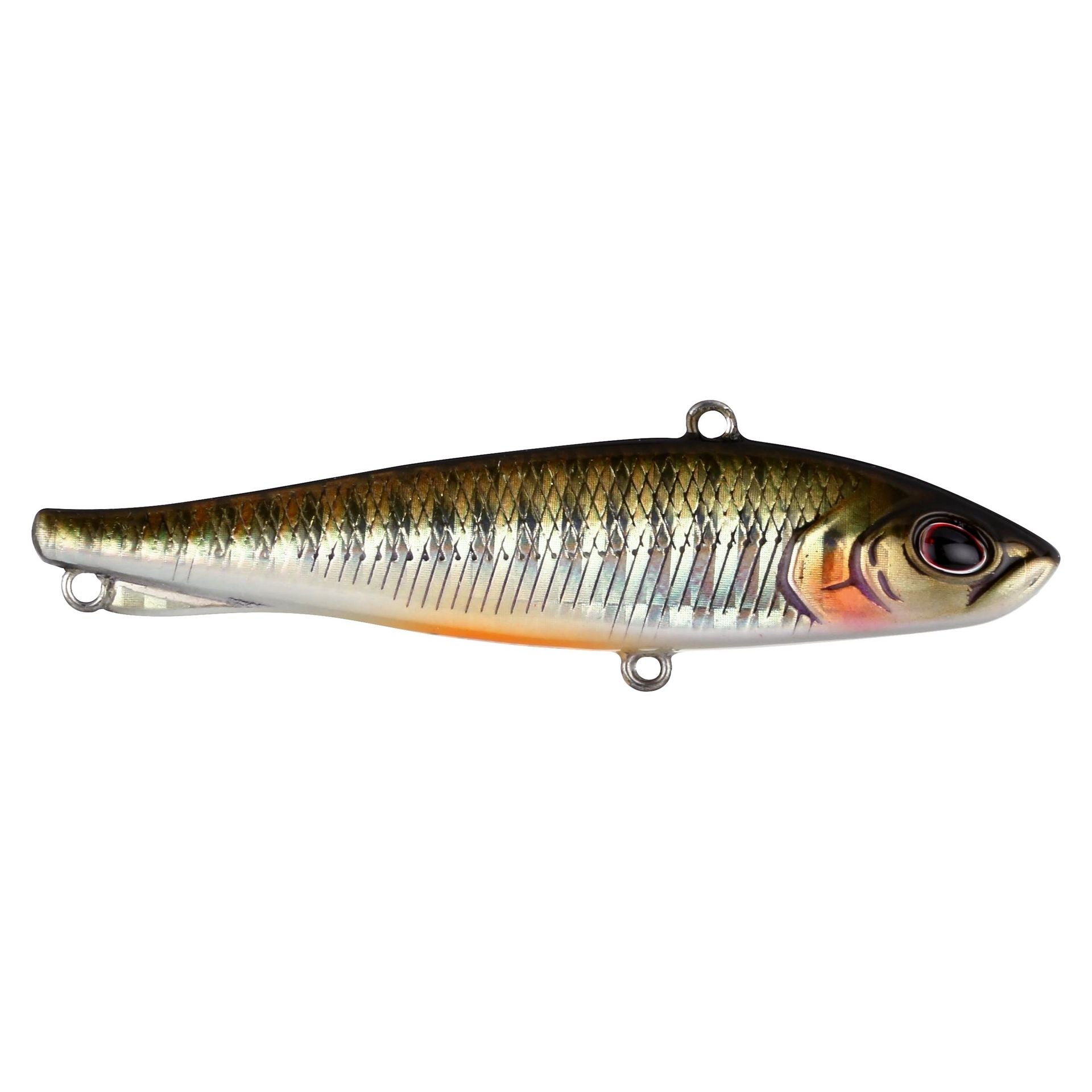 Ripfish