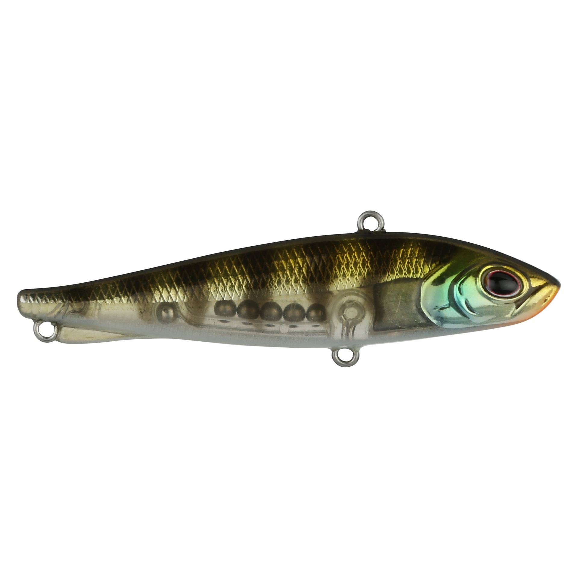 Ripfish