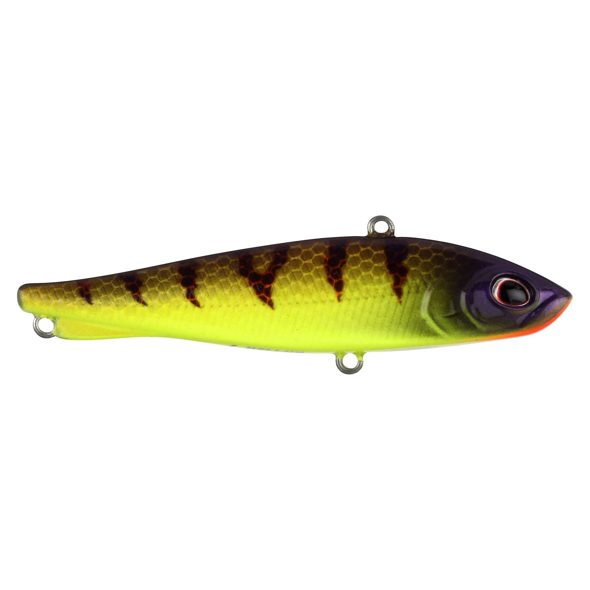 Ripfish