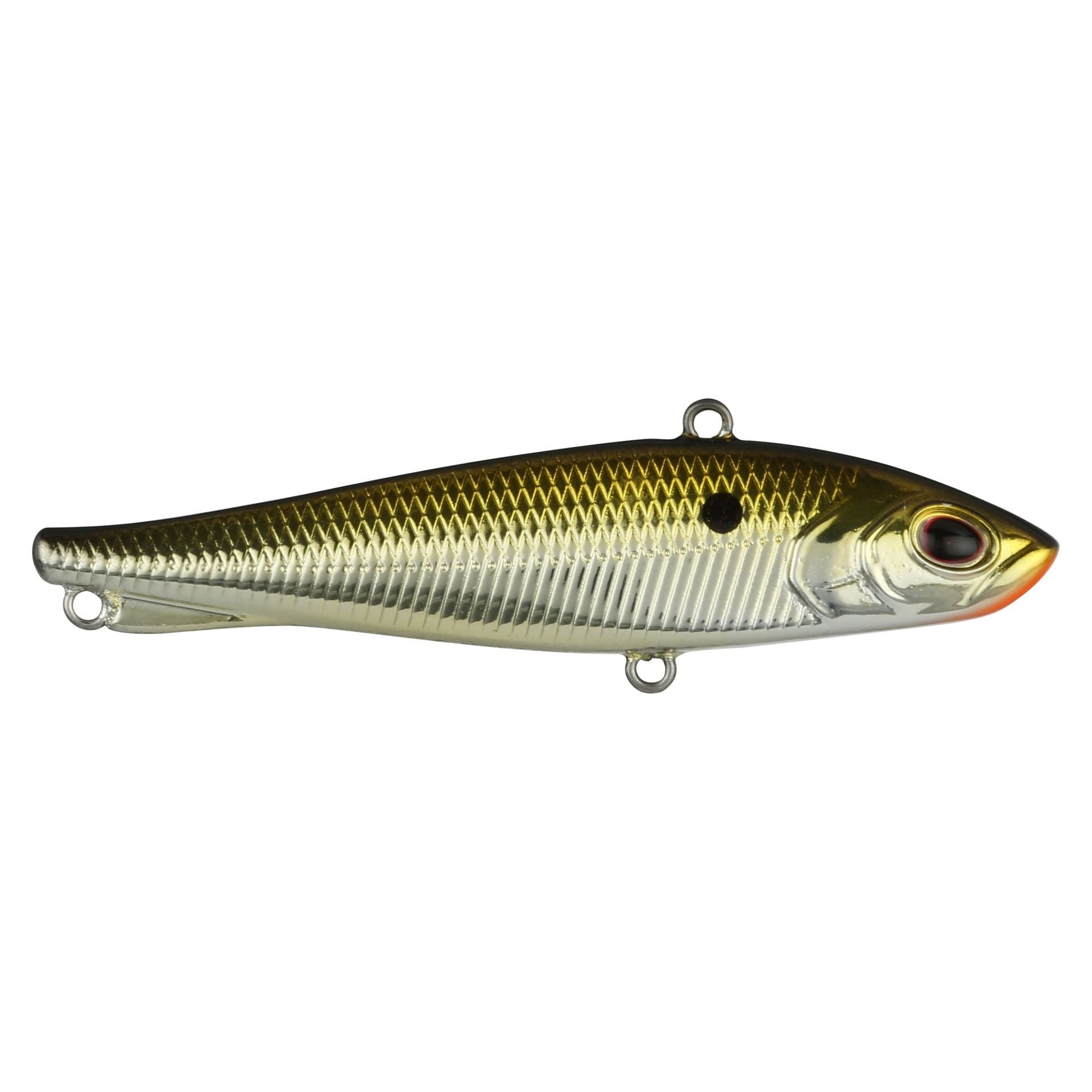 Ripfish
