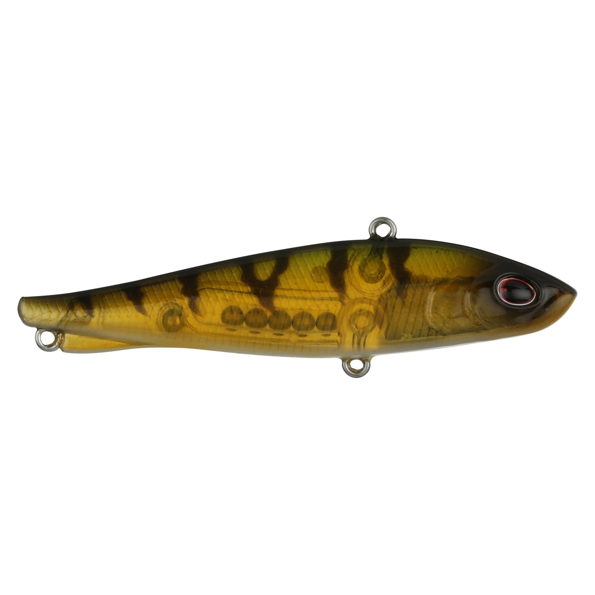 Ripfish